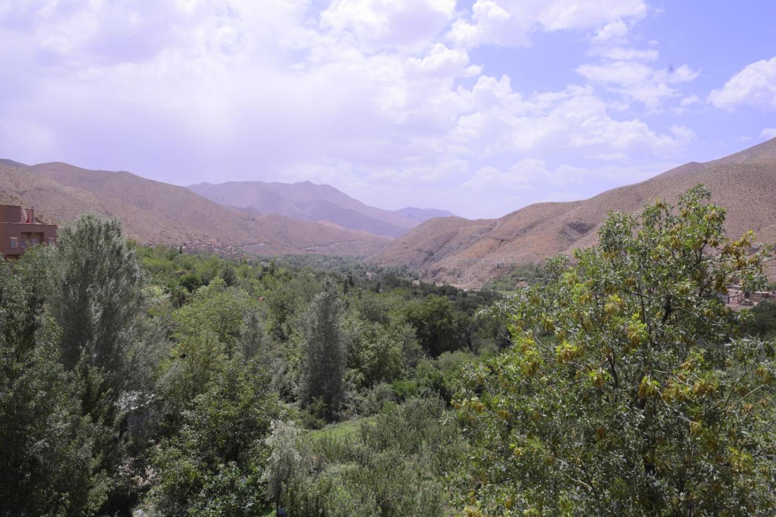 Photo 24