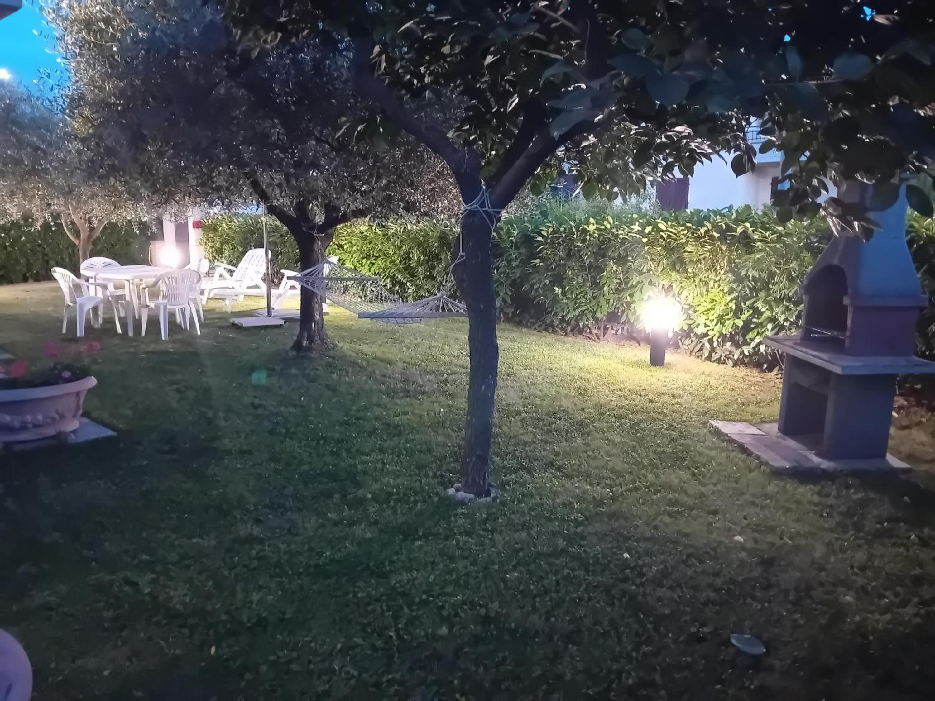 Photo 17