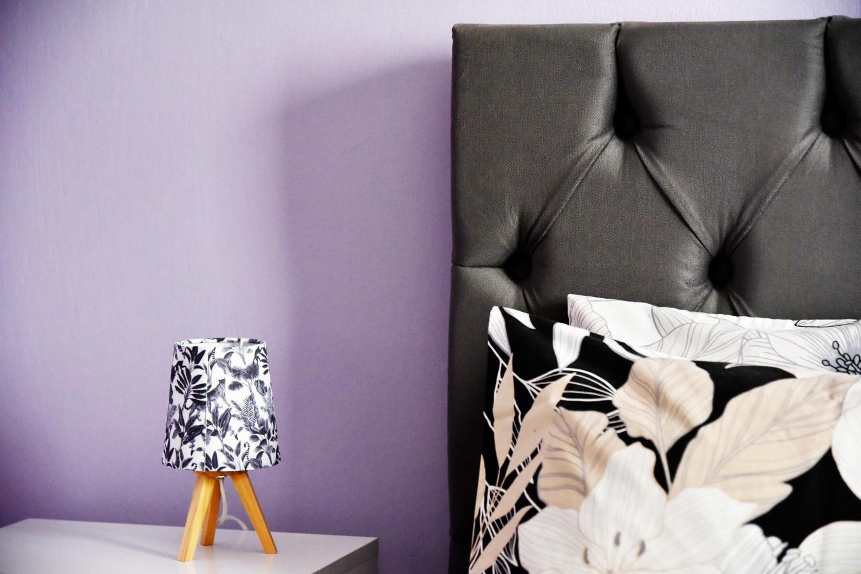 Kipseli NEW MoDeRN & CoZy 65TV Netflix
