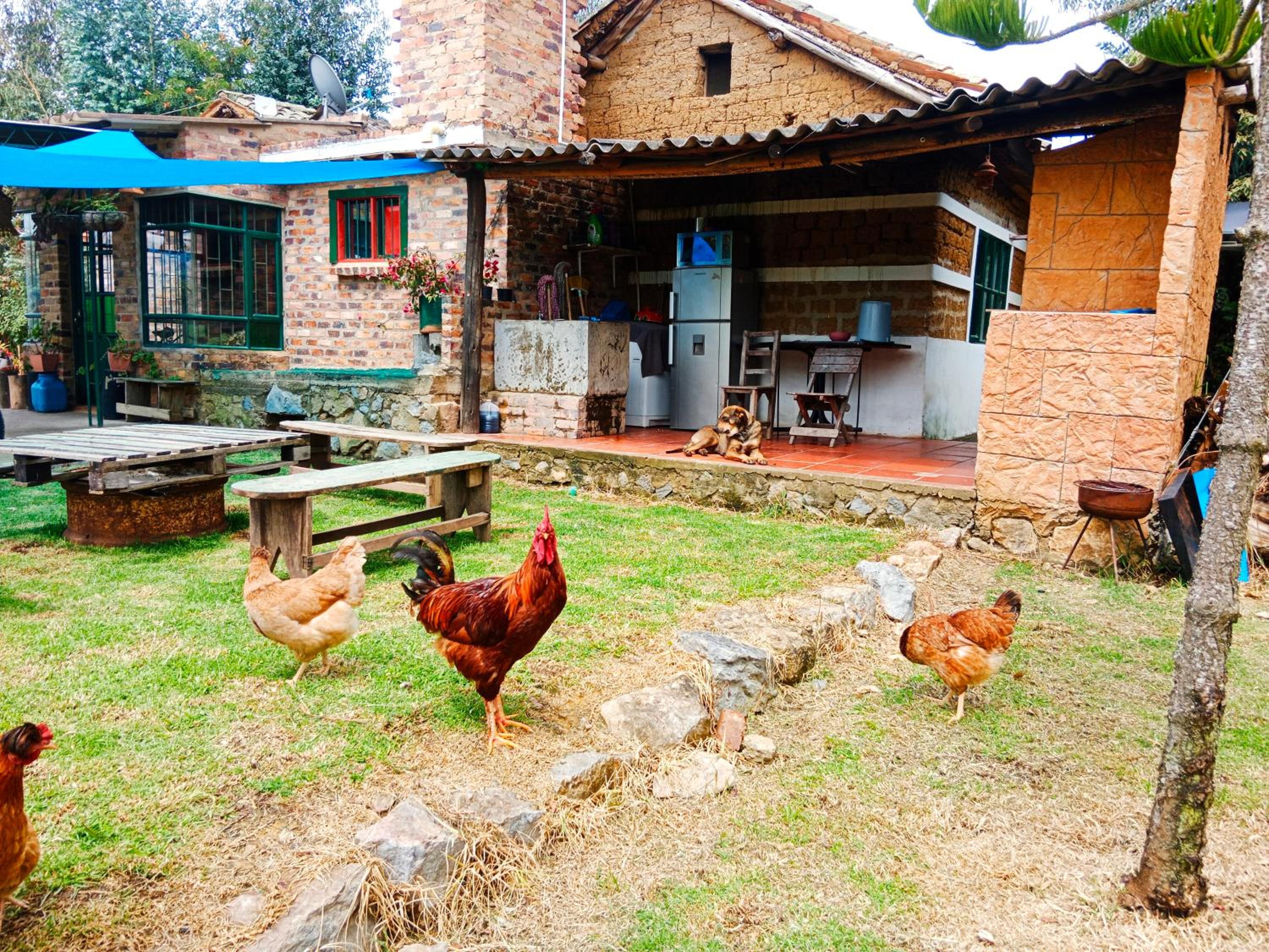 Finca Victoria