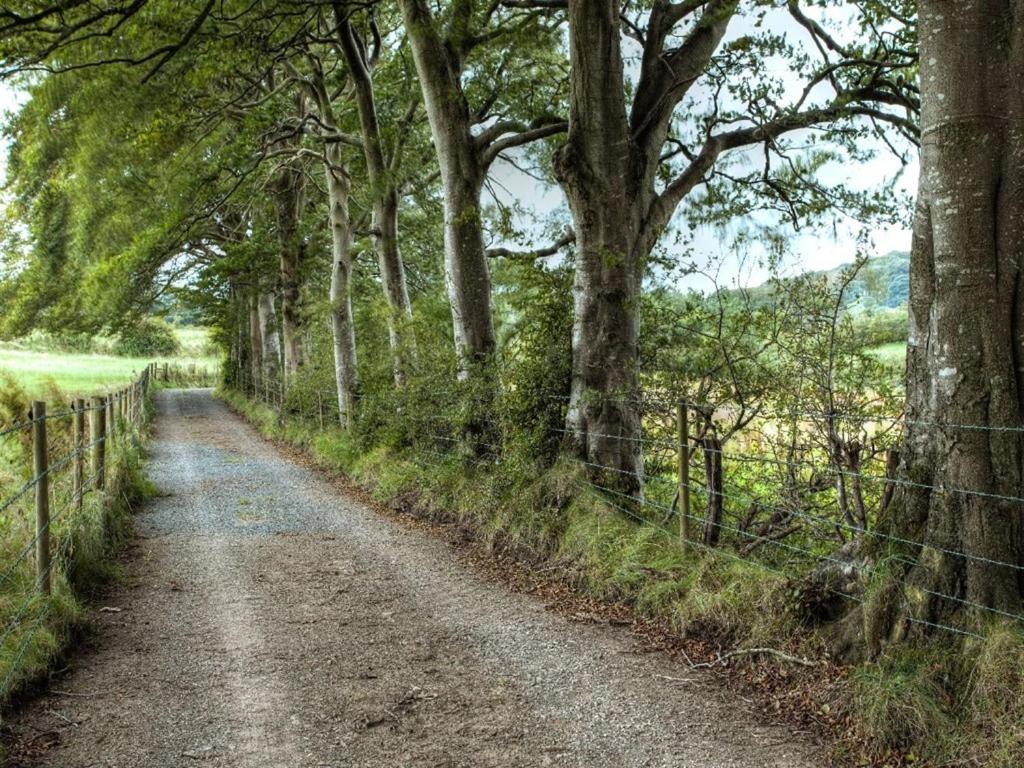 Ballylagan Organic Farm
