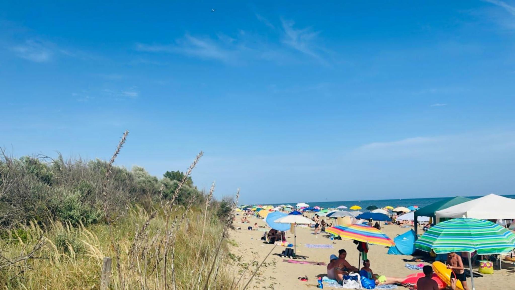 Ca' Palma Verde photo 3