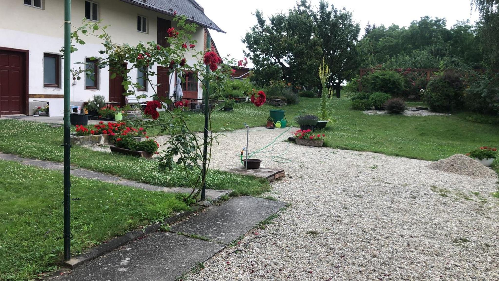 Ideal sleepover place Odrlice No 5