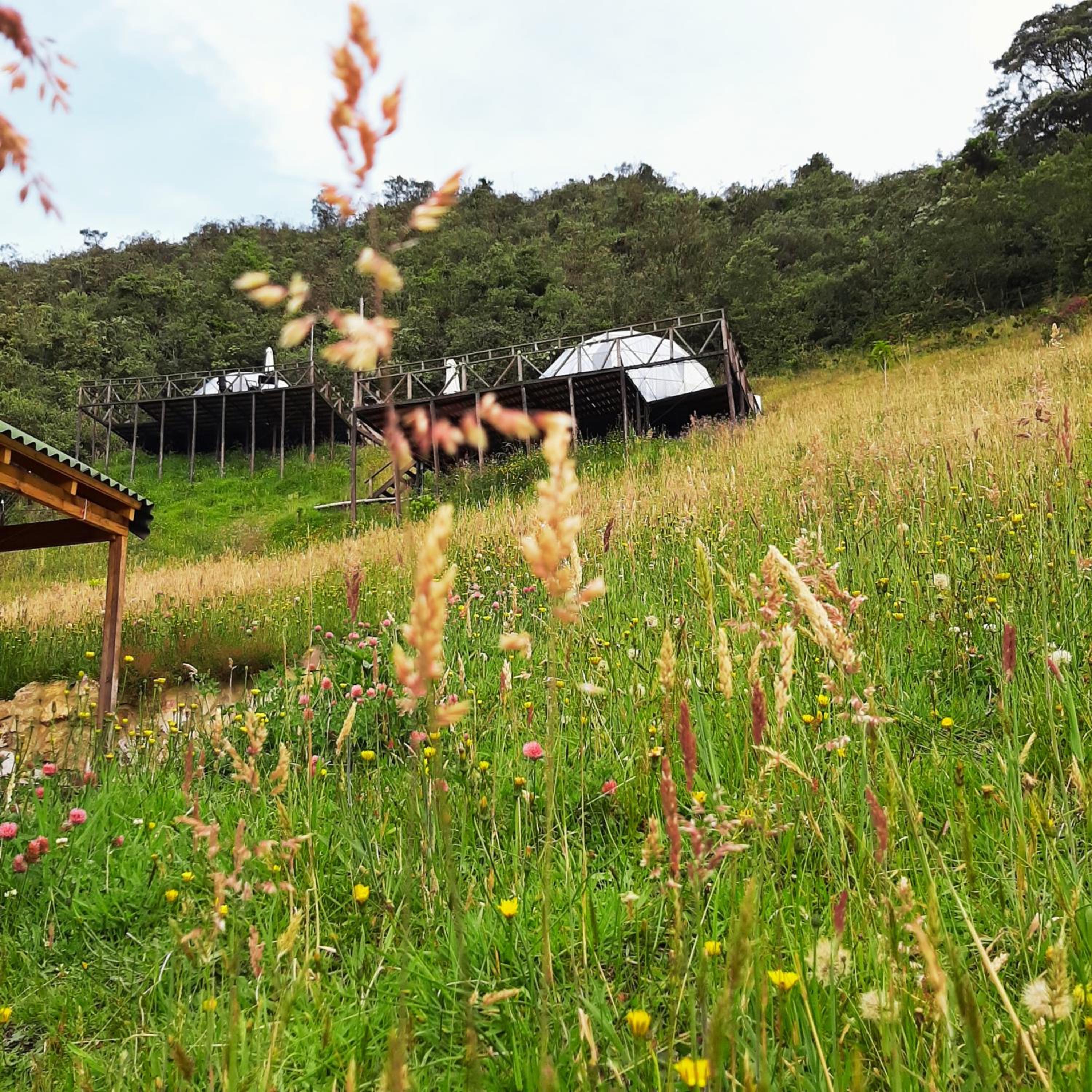 Glamping familiar en las montañas de Suesca