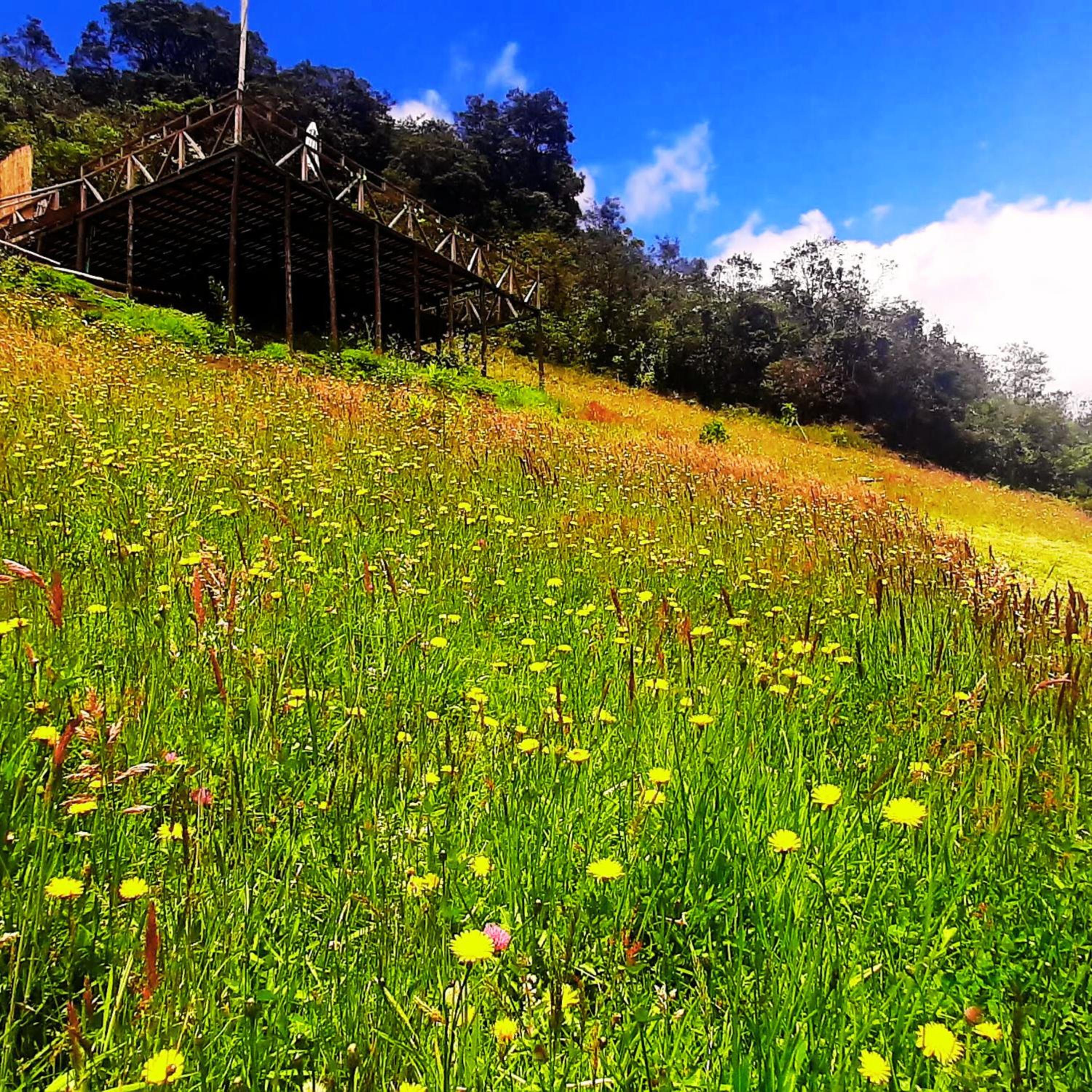 Glamping familiar en las montañas de Suesca