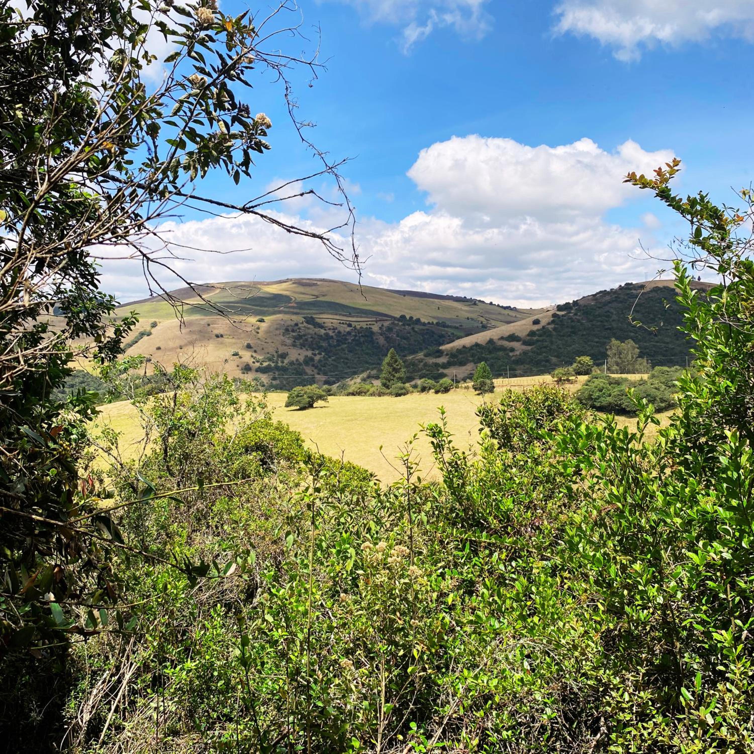 Glamping familiar en las montañas de Suesca