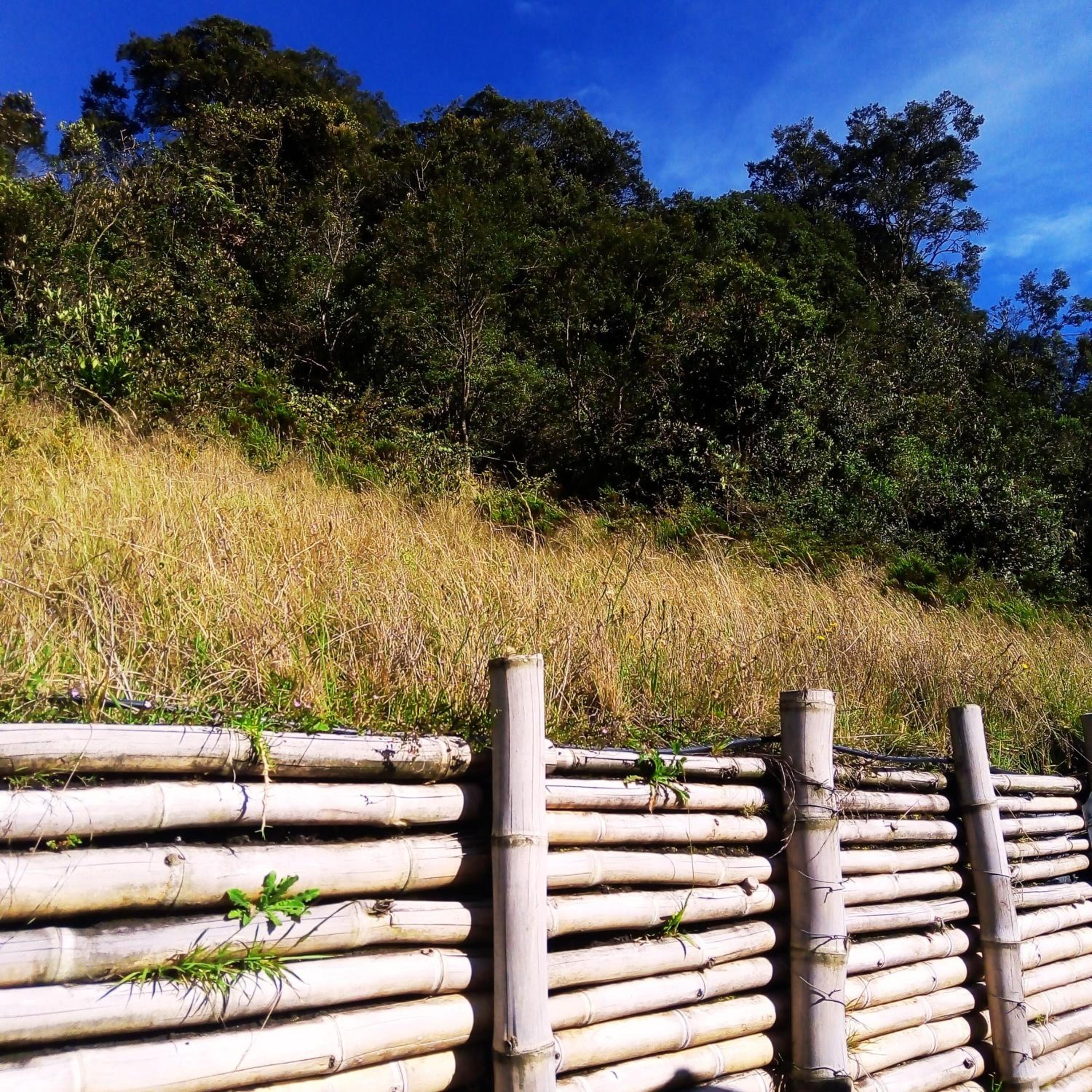 Glamping familiar en las montañas de Suesca