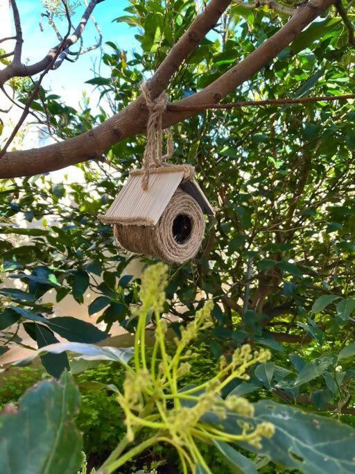 Photo 7