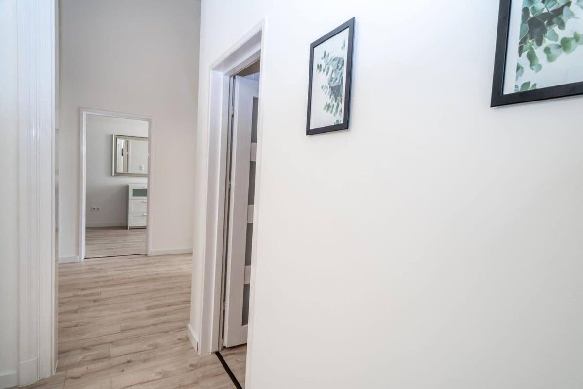 Extra central brand new and large AC apartment view 2