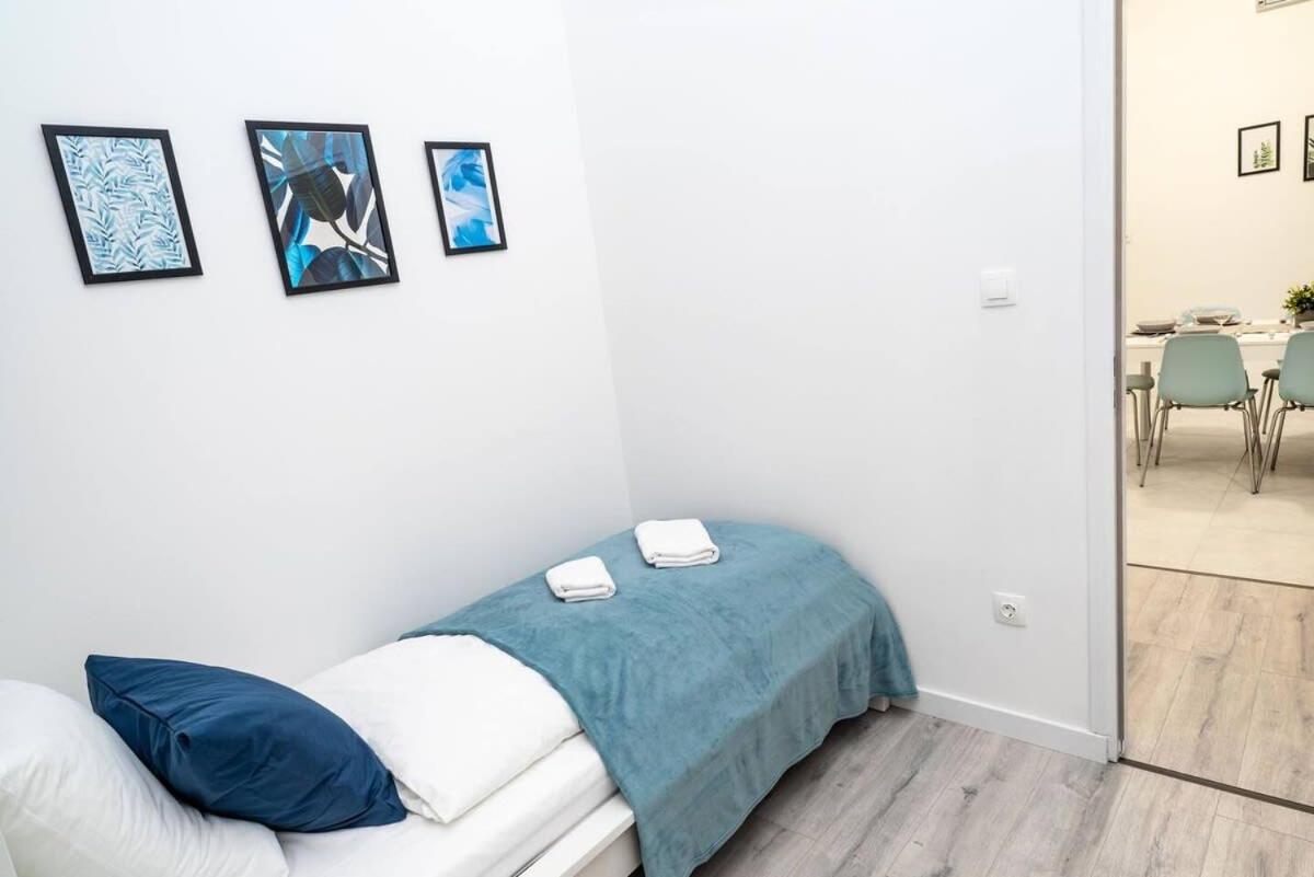 Extra central brand new and large AC apartment view 5