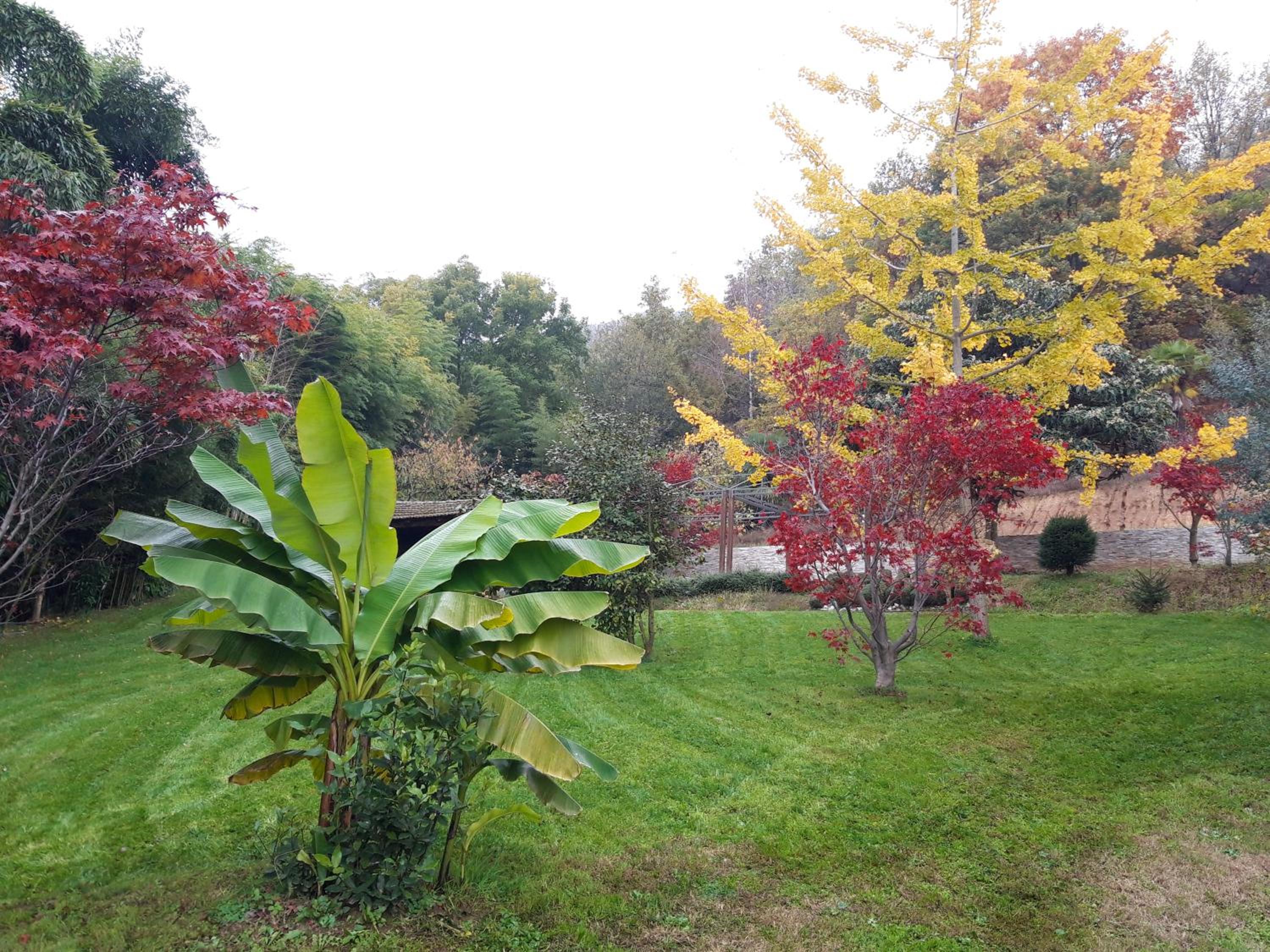 Istanti - Bambù view 3
