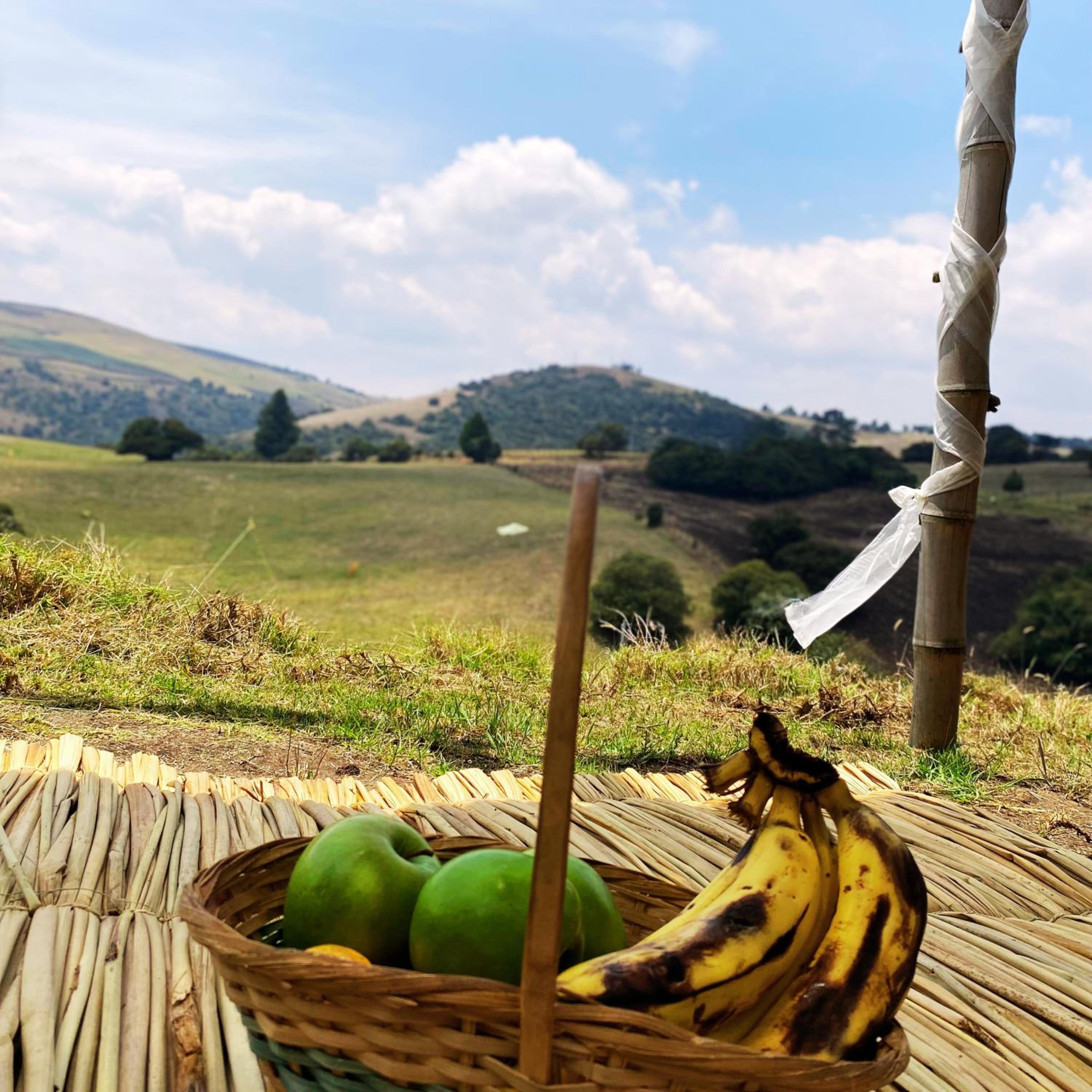 Cabaña de madera junto a las montañas