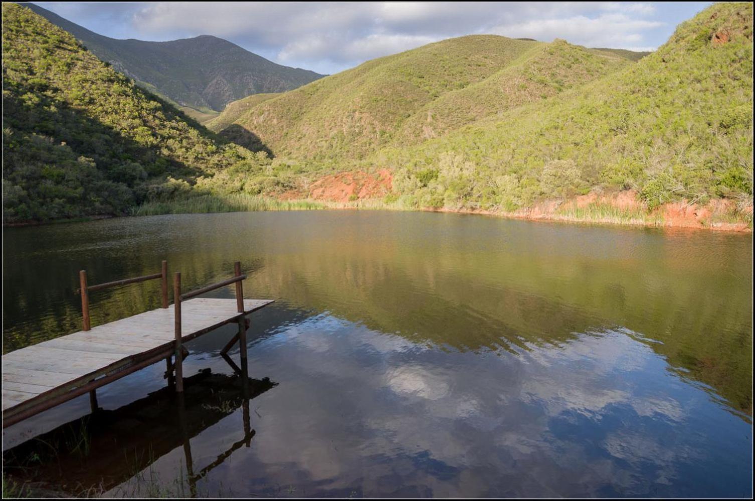 Pat Busch Mountain Reserve