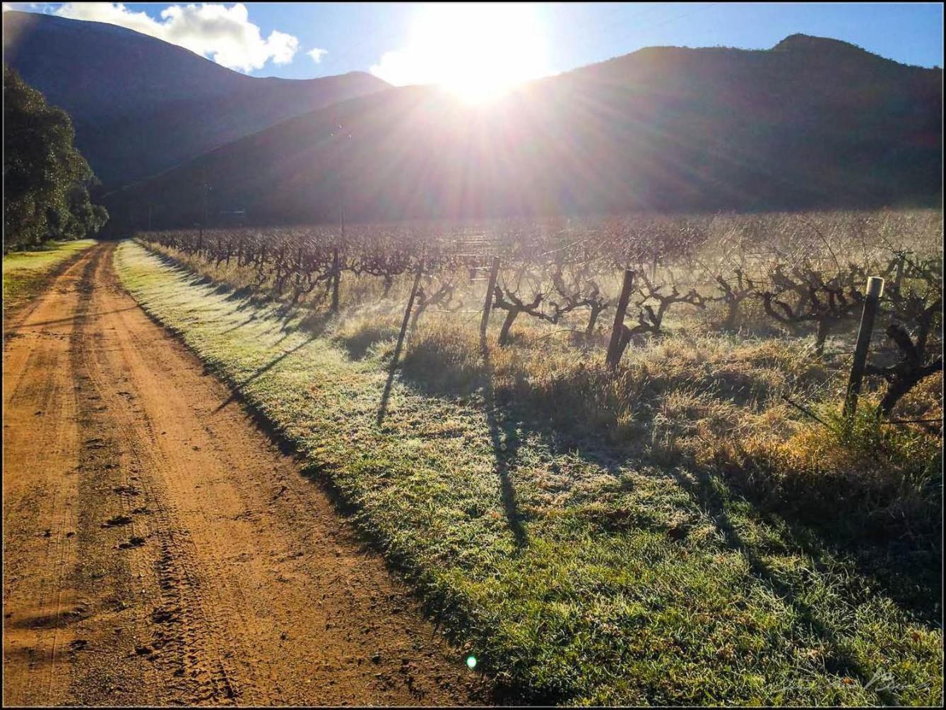 Pat Busch Mountain Reserve