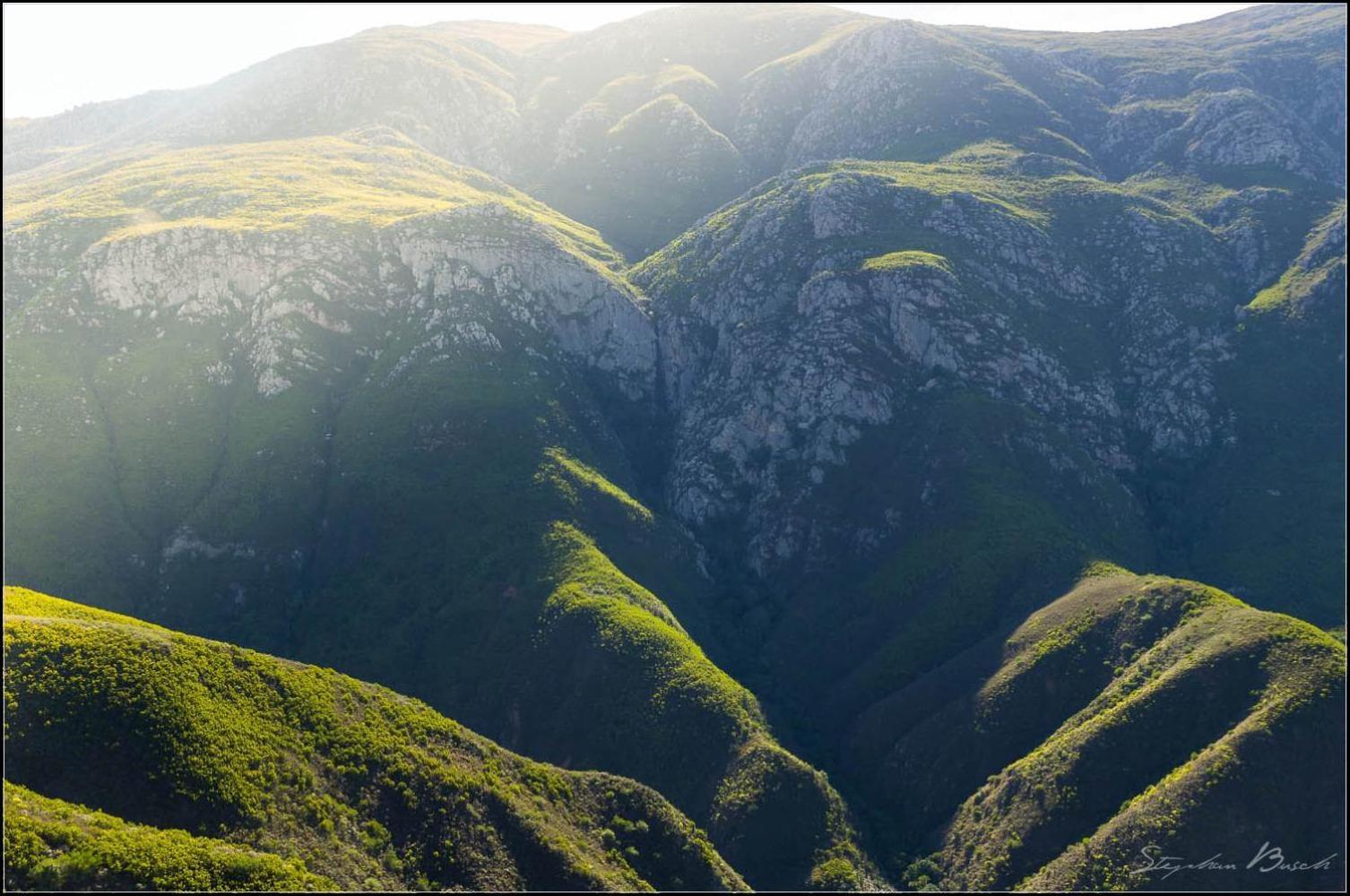 Pat Busch Mountain Reserve