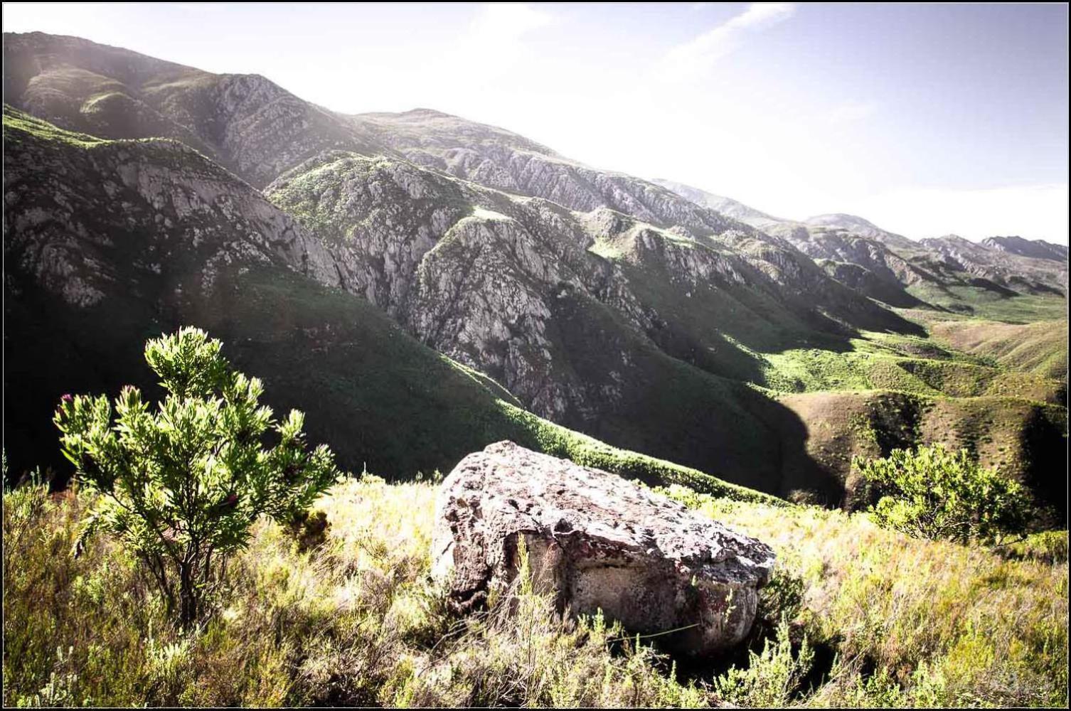 Pat Busch Mountain Reserve