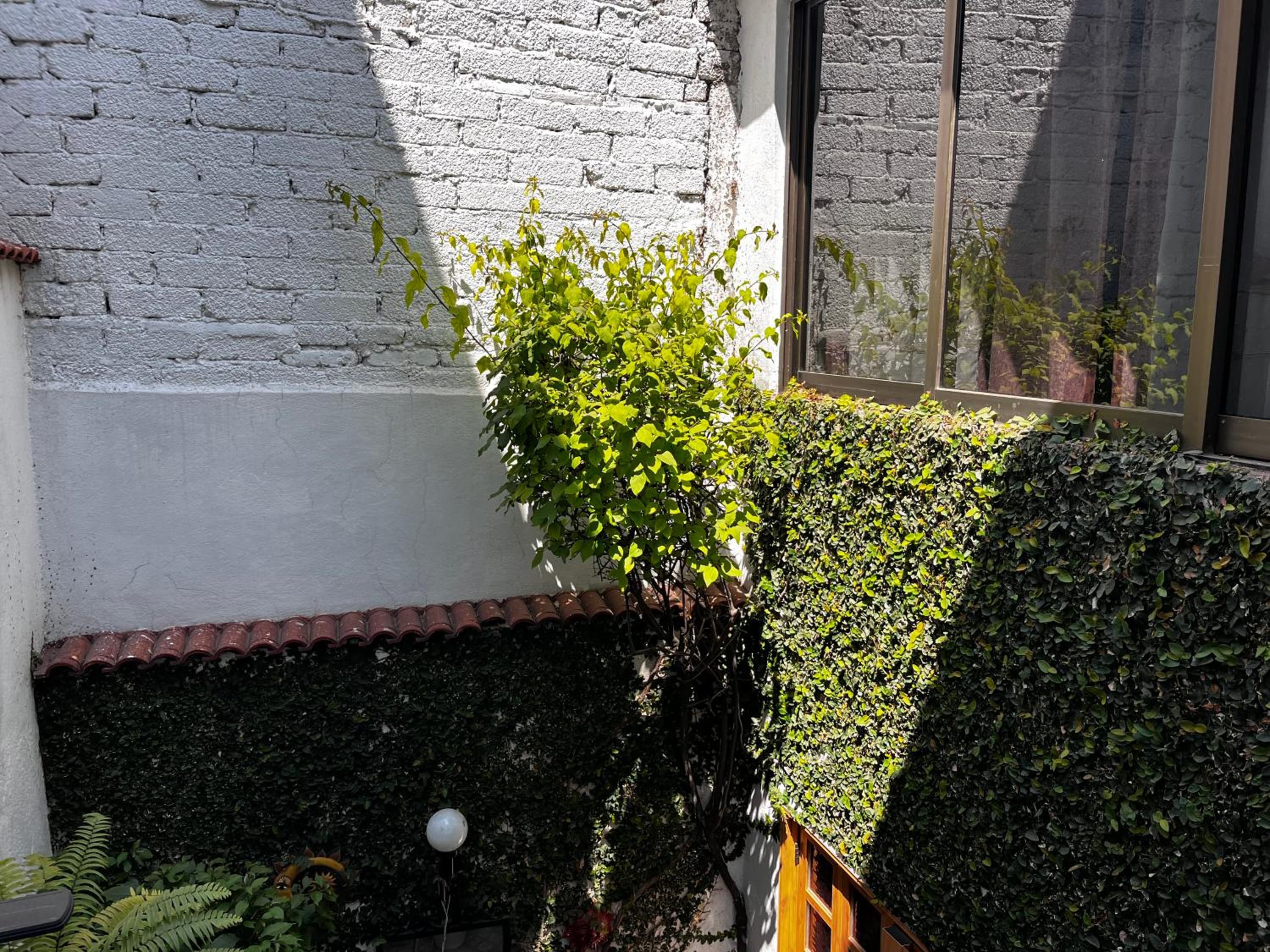 Casa Solange photo 3