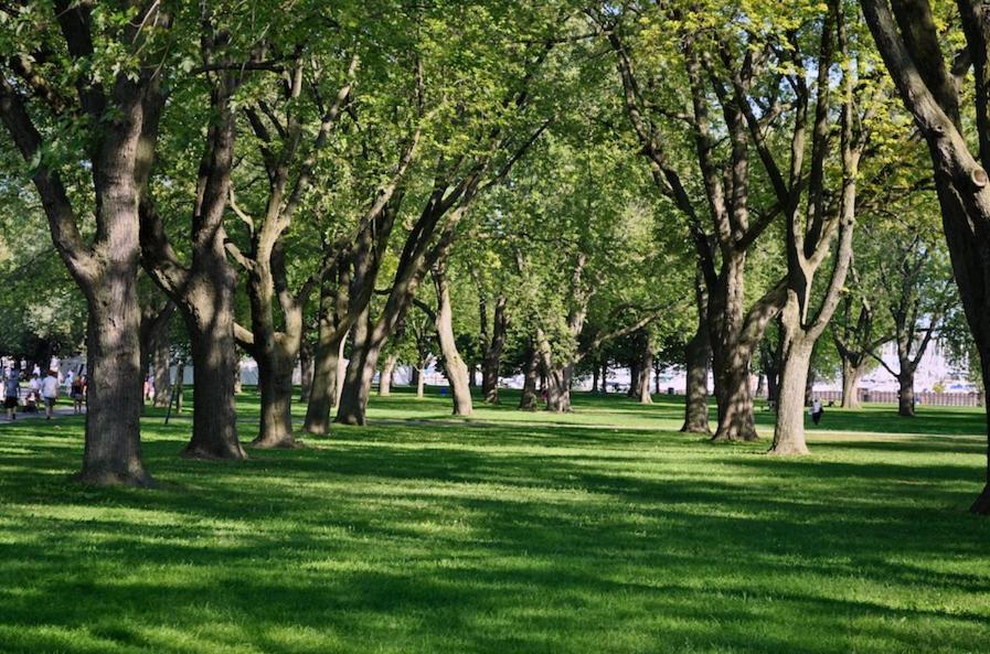 Modern 2BR Downtown Condo, Lakeshore, Exhibition Place, Fort York