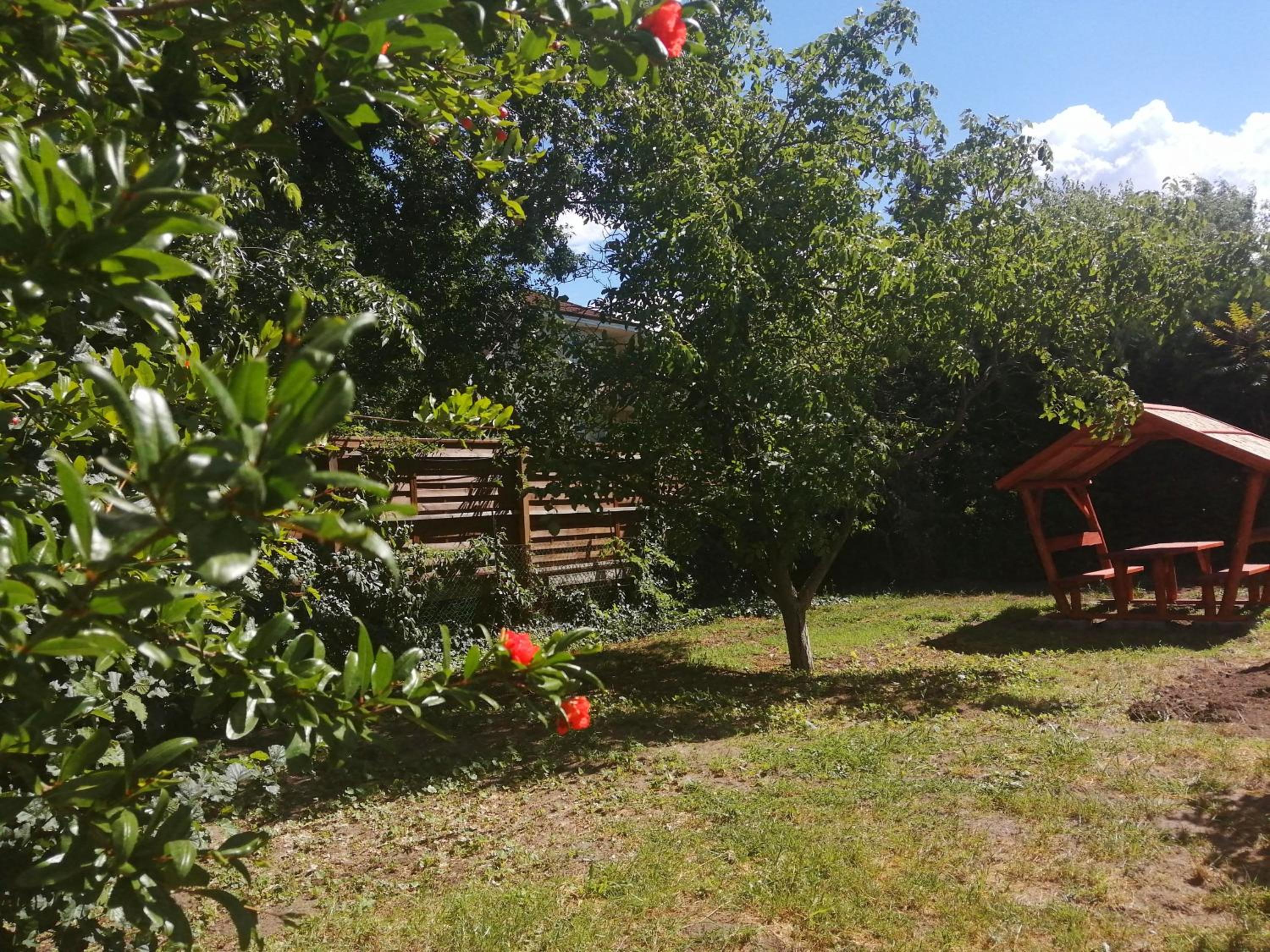 Photo 19