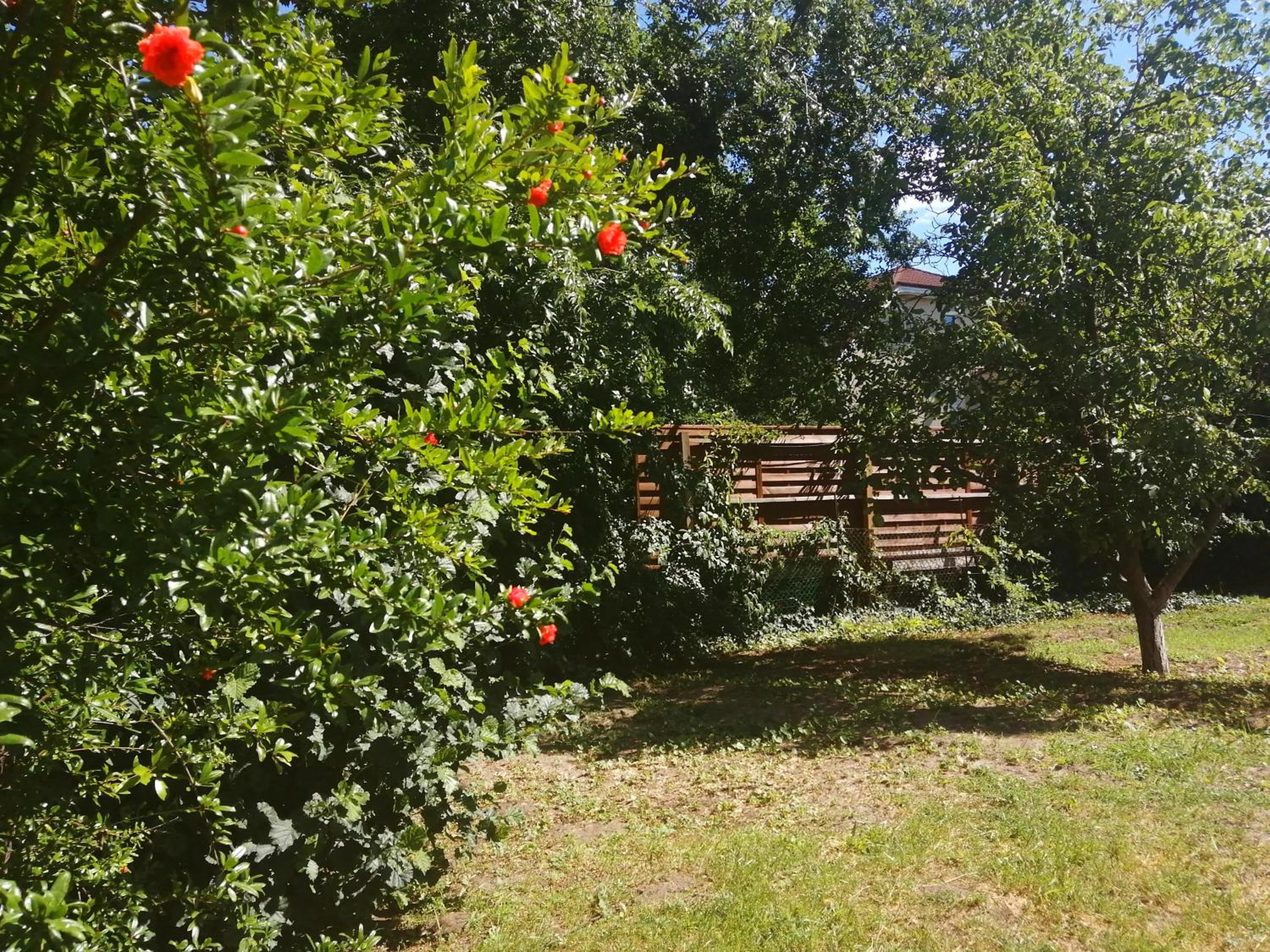 Photo 35