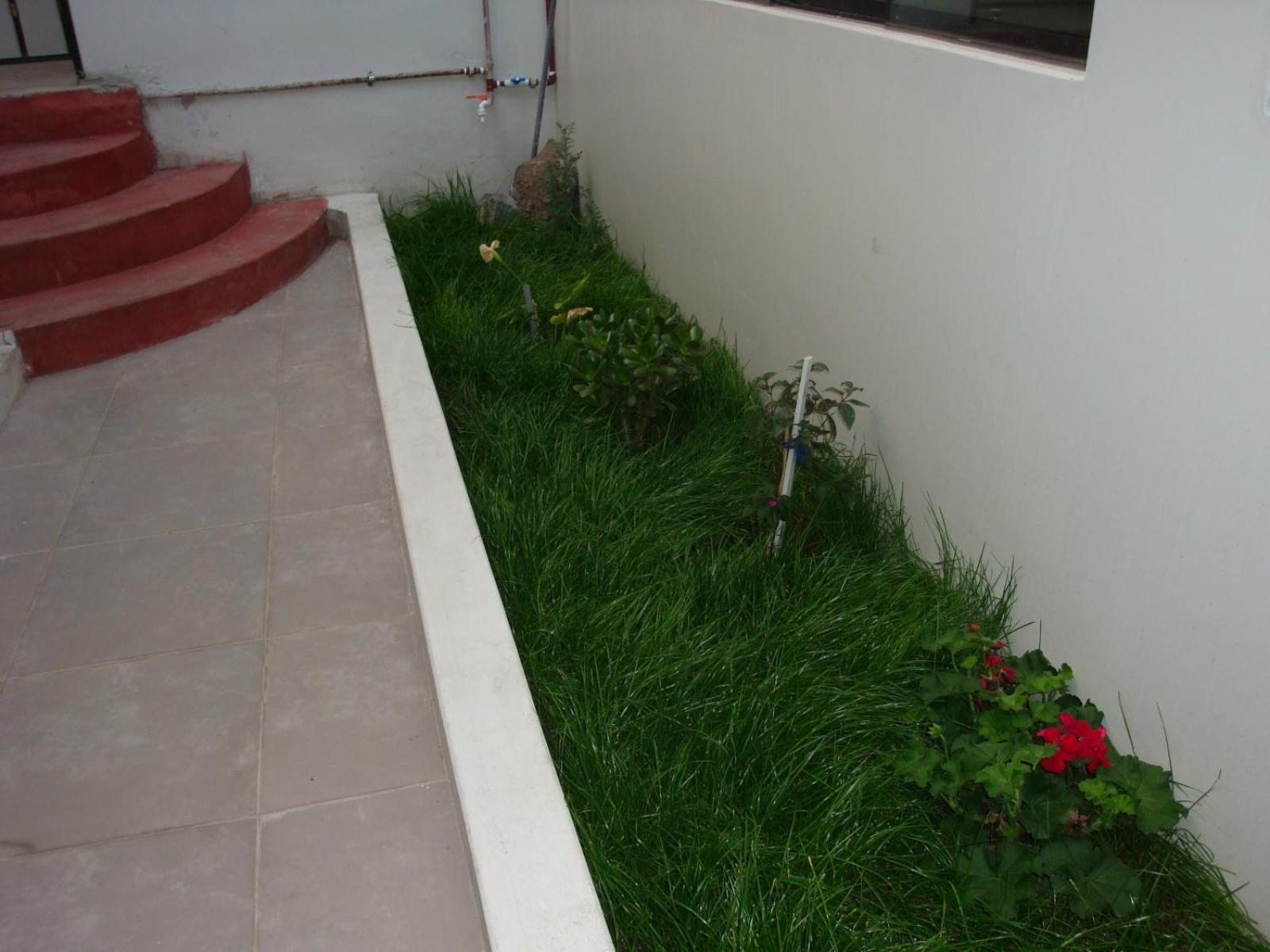 Photo 6