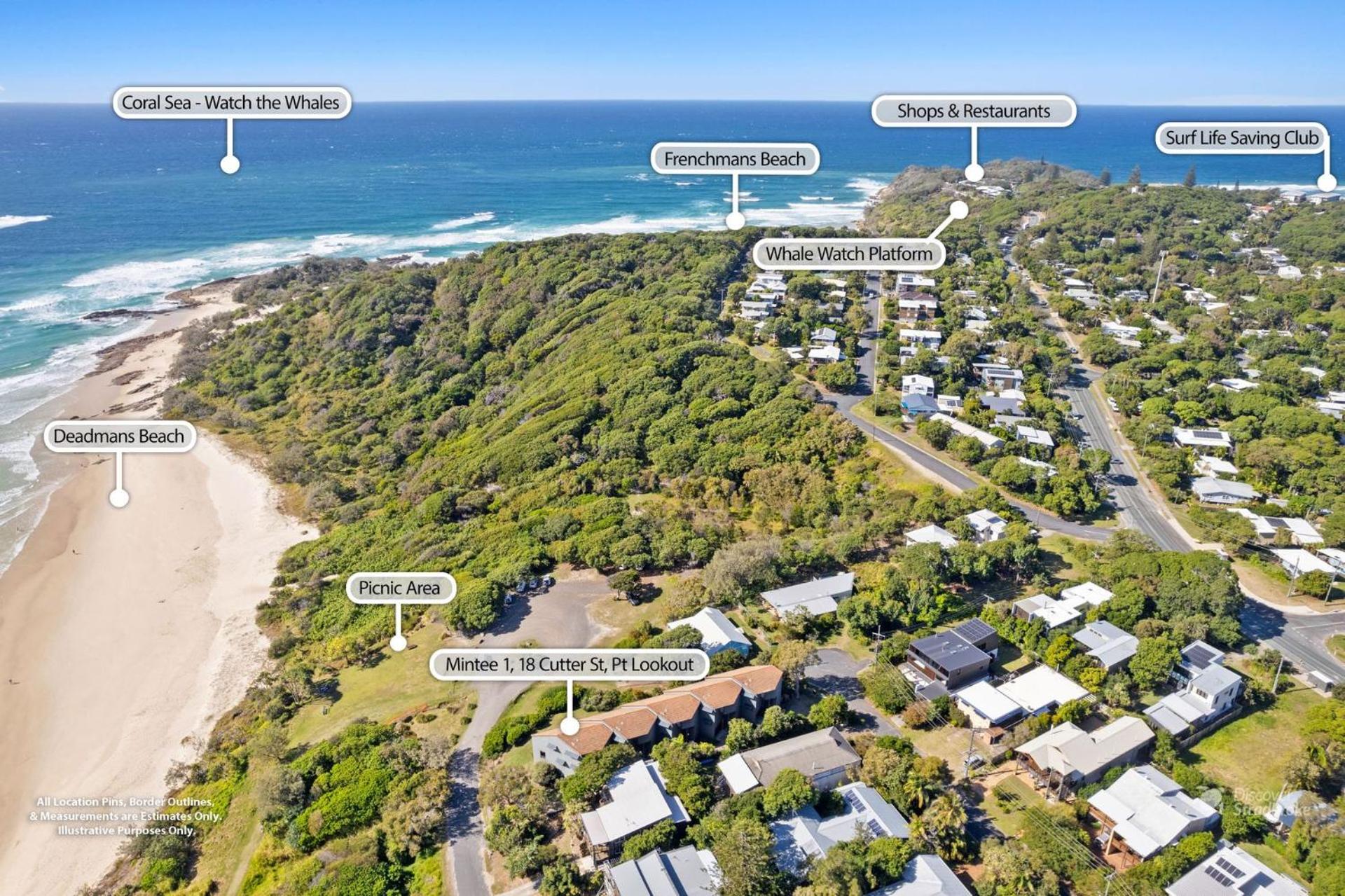 Mintee 1 by Discover Stradbroke