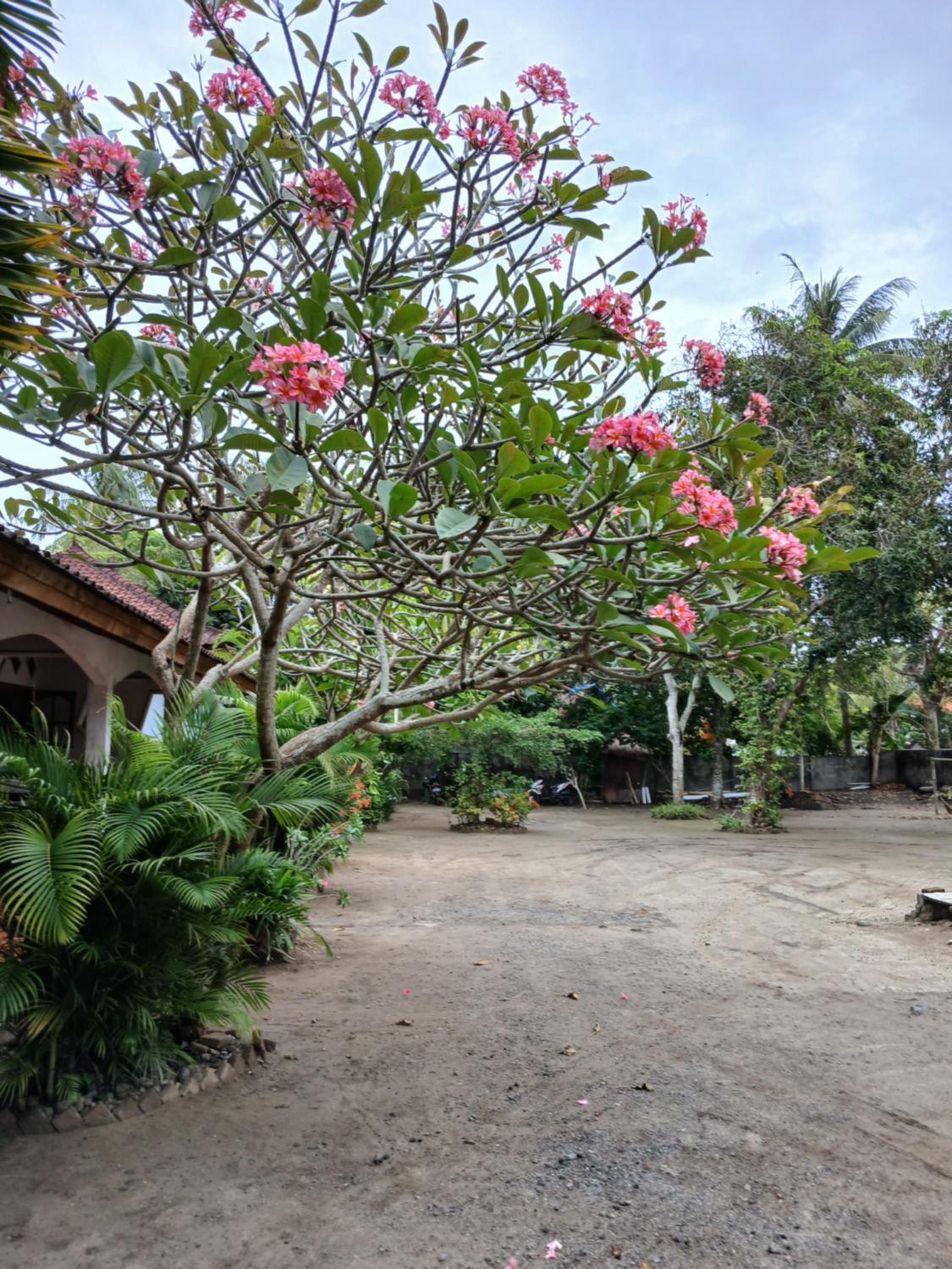 Lamancha Homestay
