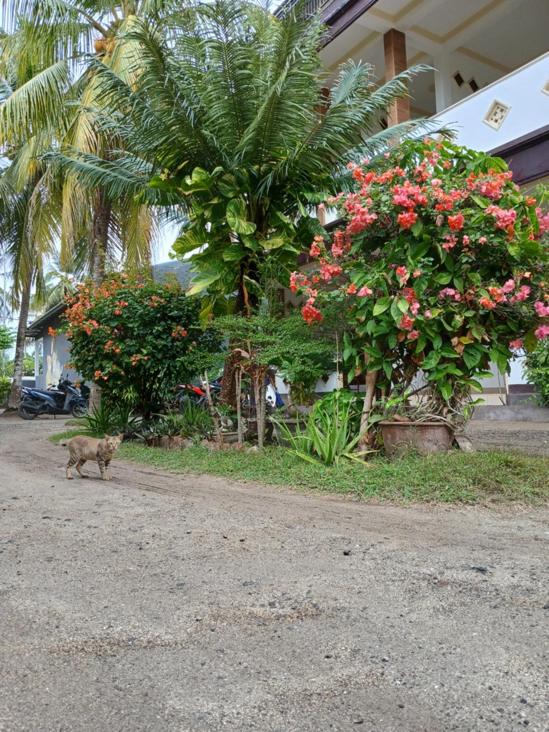 Lamancha Homestay
