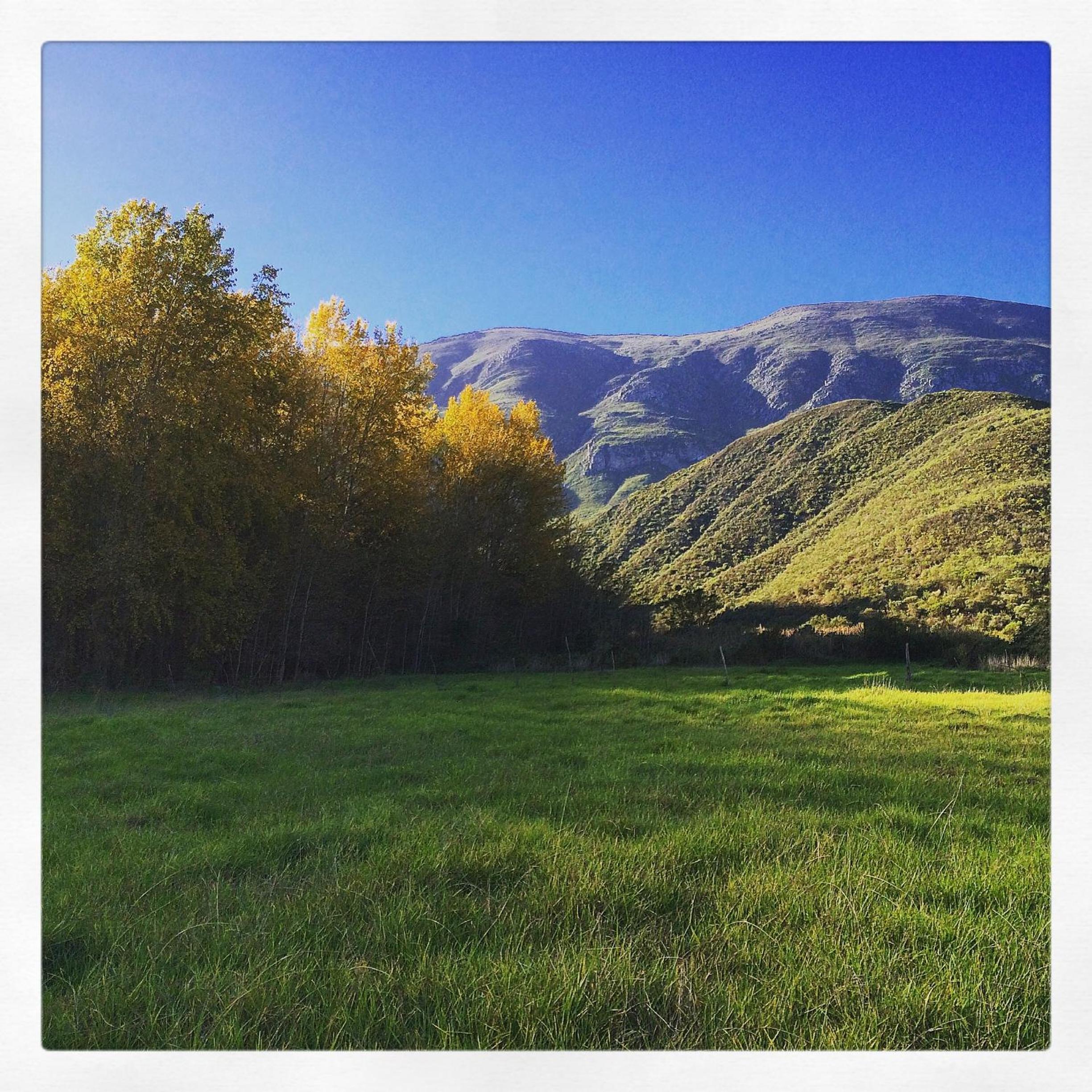 Pat Busch Mountain Reserve