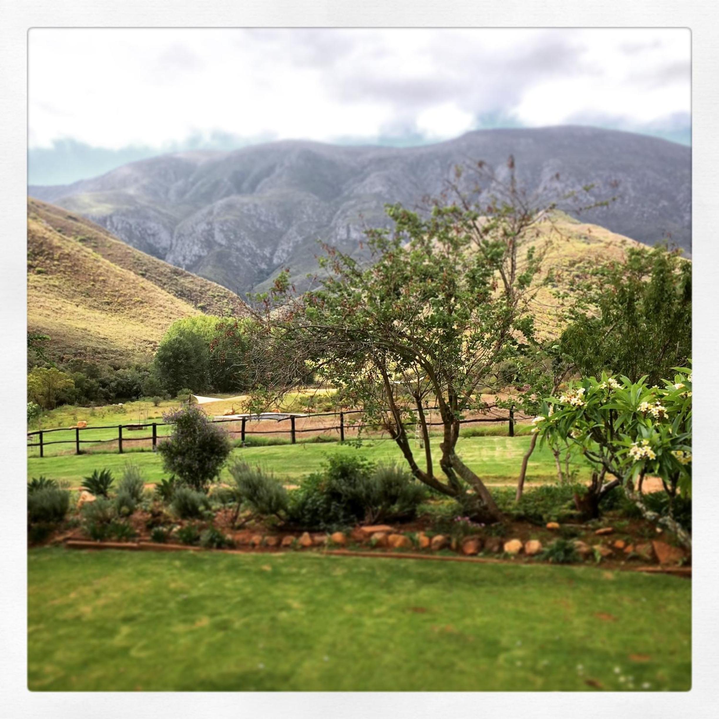Pat Busch Mountain Reserve