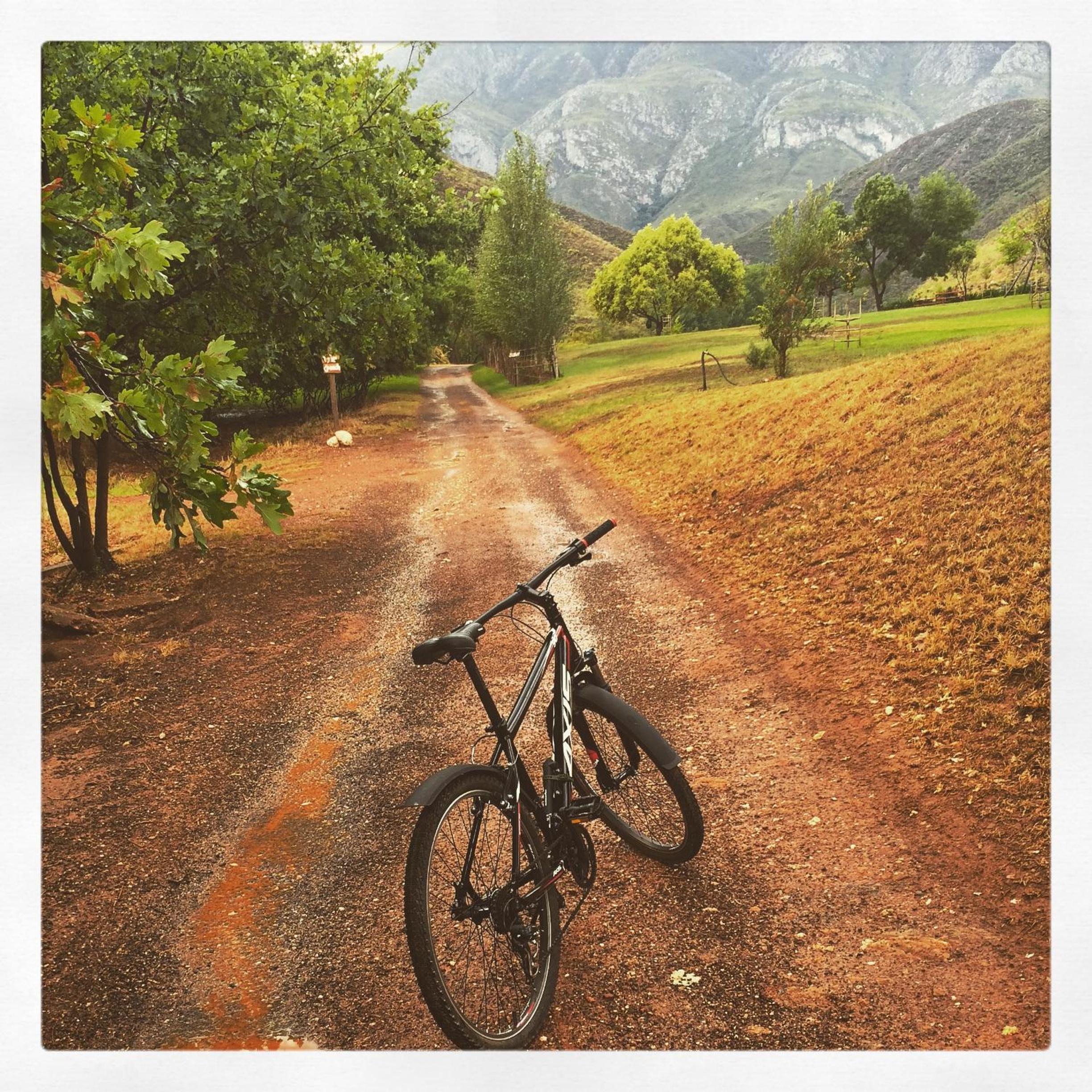 Pat Busch Mountain Reserve
