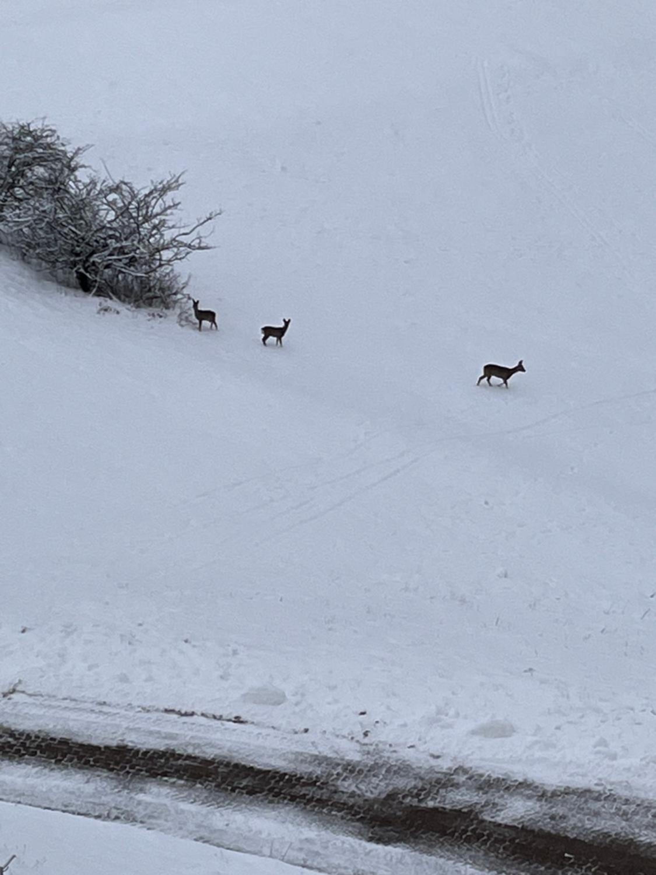 Atempause und erholsame Zeit im Harz