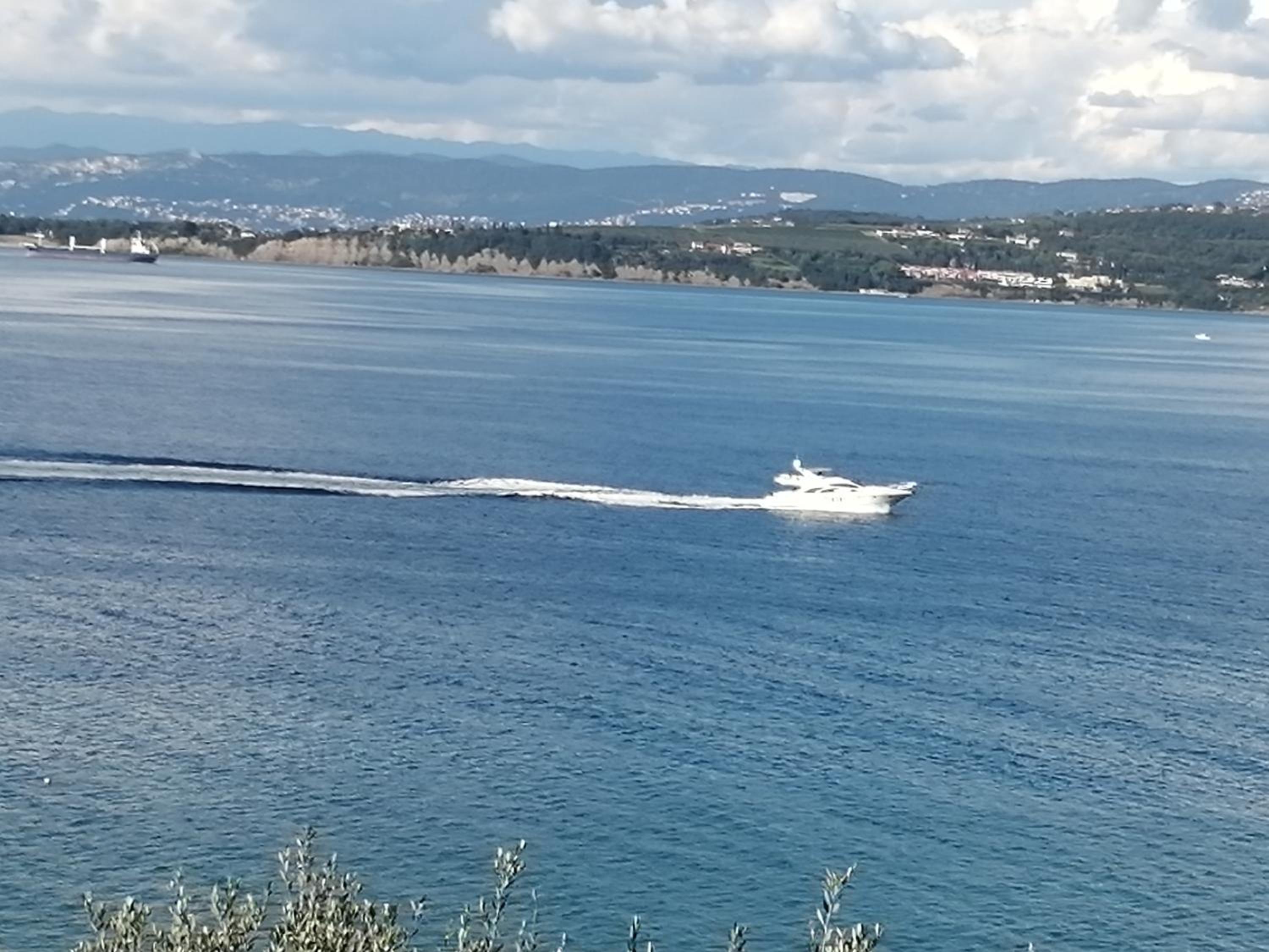 Apartma Panorama