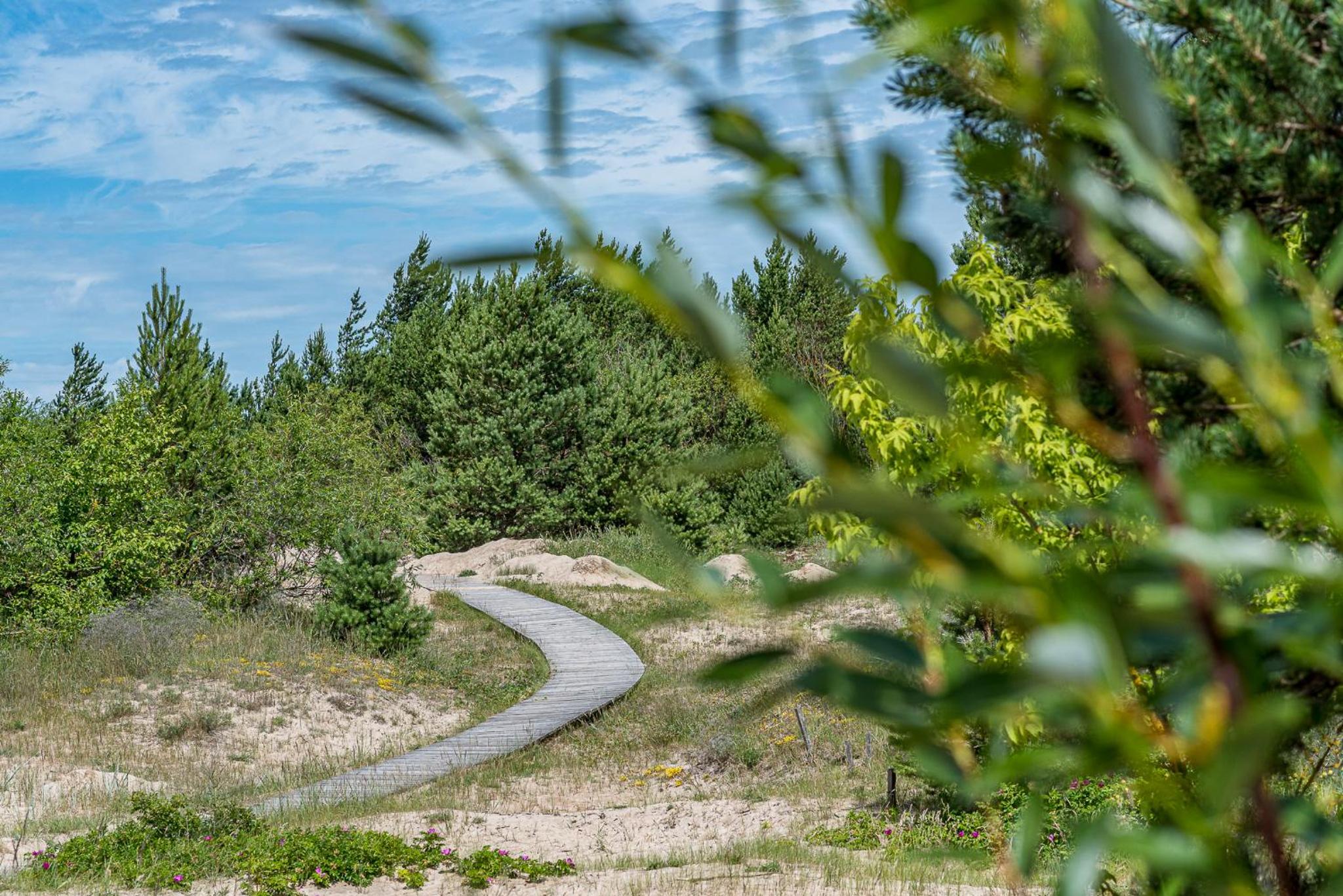 Apartamentai prie Birutės parko