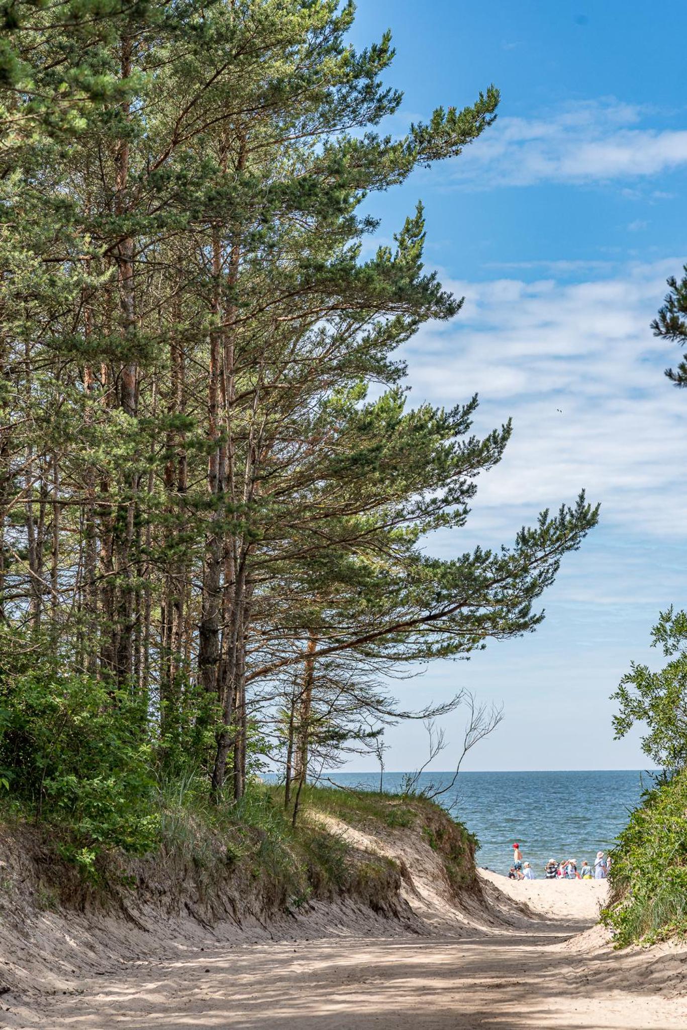 Apartamentai prie Birutės parko