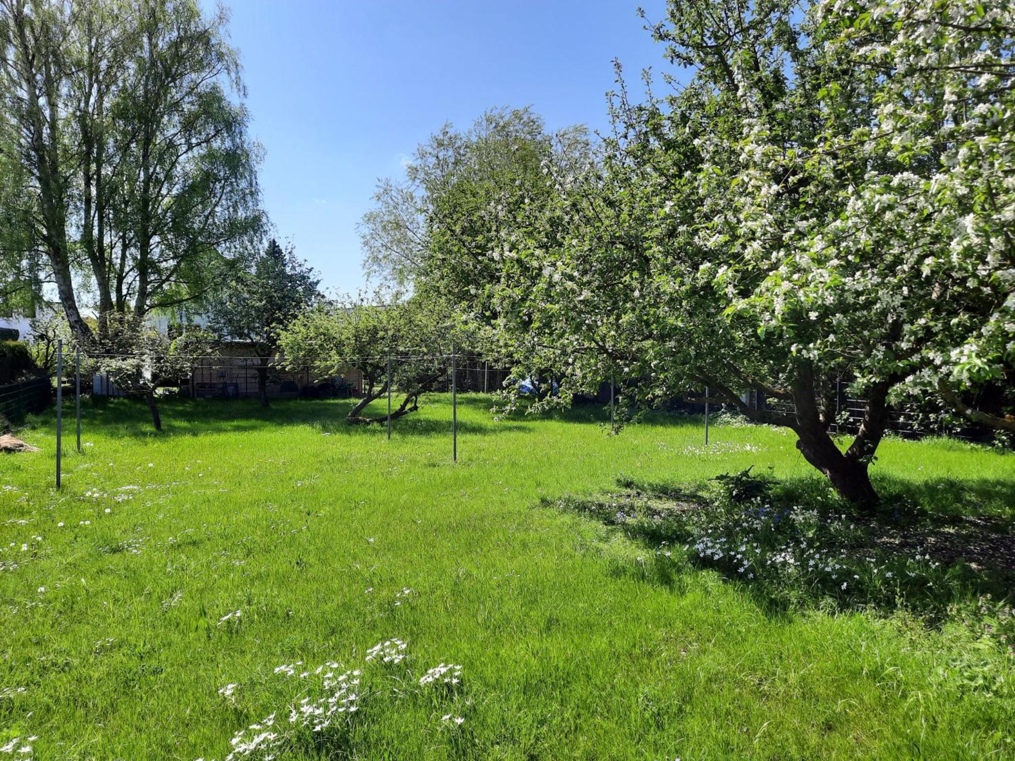 Haus Reinhild - Fewo 1 im Hochparterre