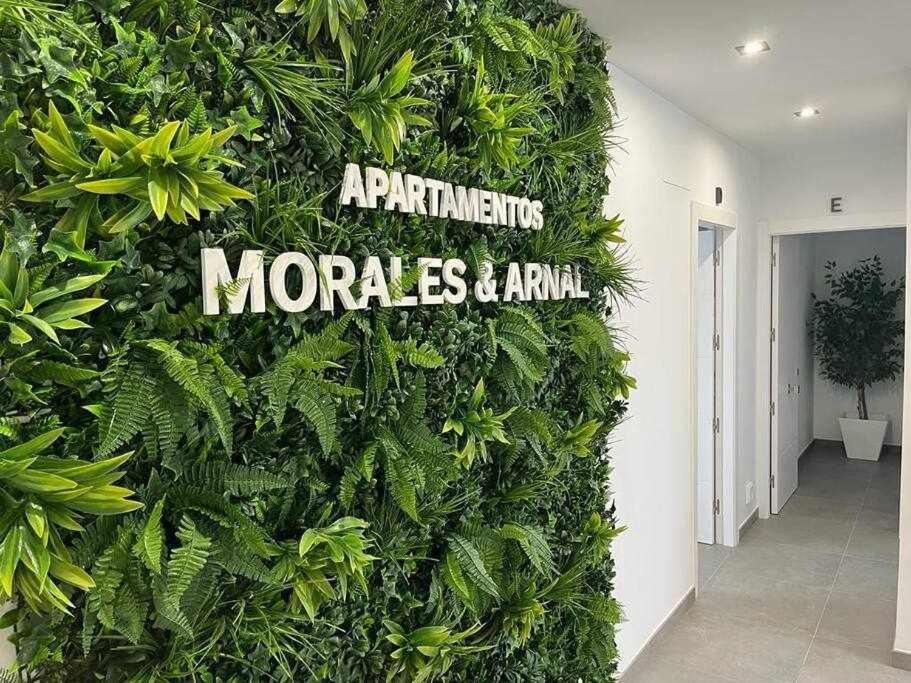 XX D Apartamentos Morales & Arnal