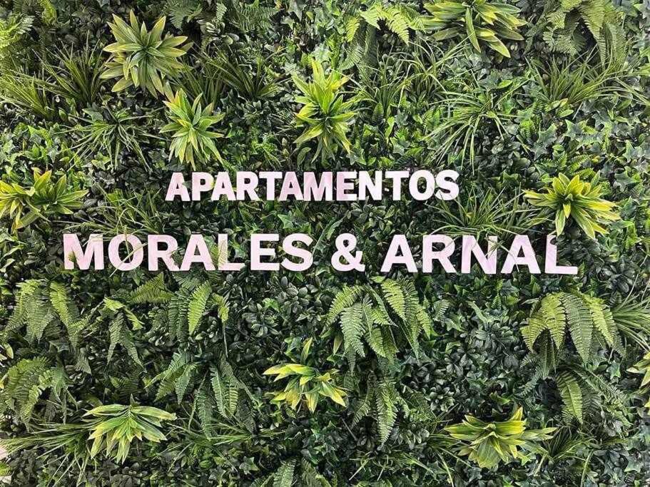 XX D Apartamentos Morales & Arnal
