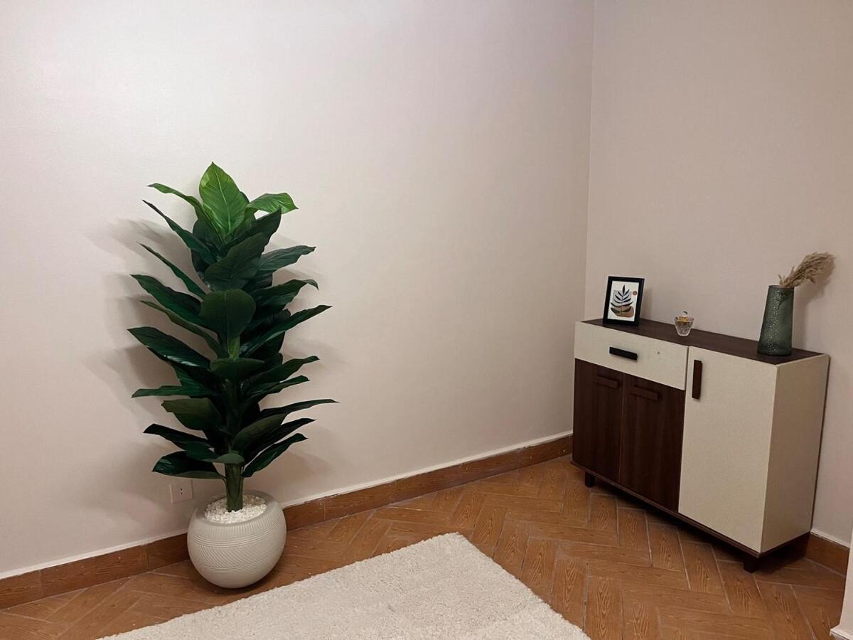 Nile view luxury apartment