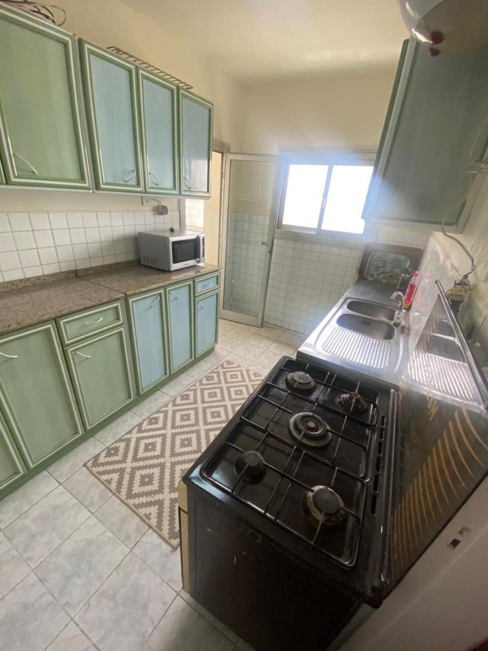 Nile view luxury apartment