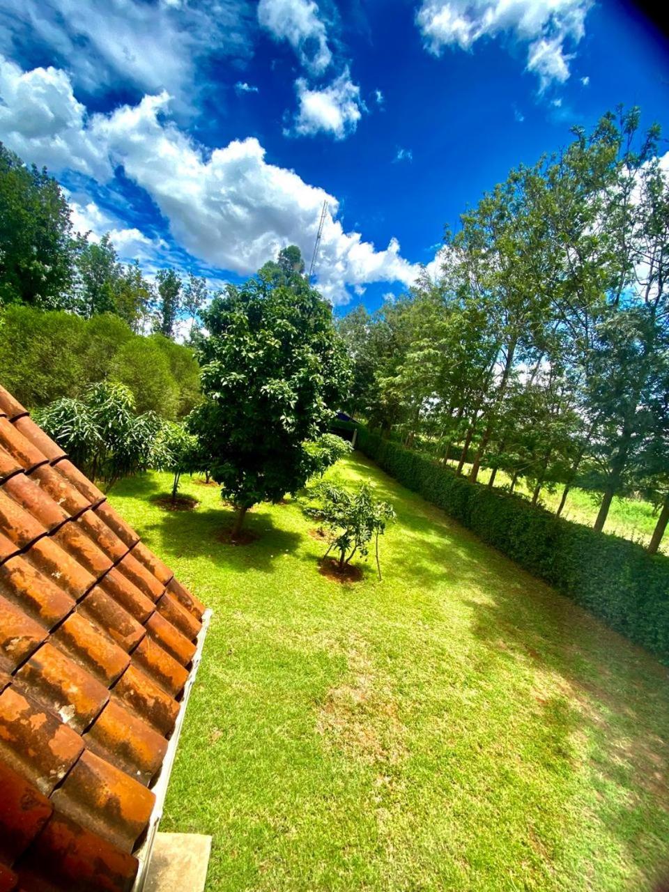 Sungura Farmhouse
