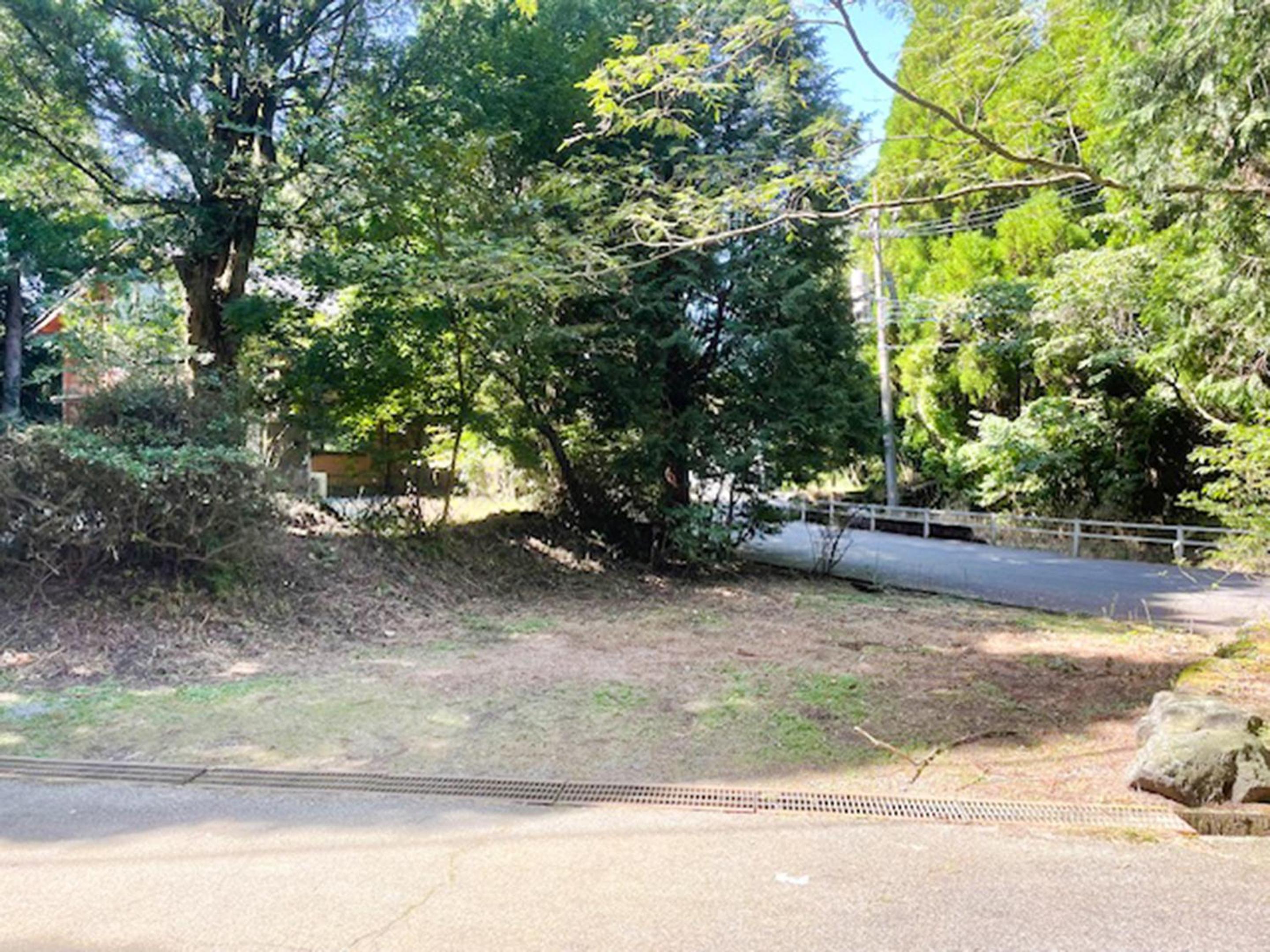 Forest Aso Otohime view 3