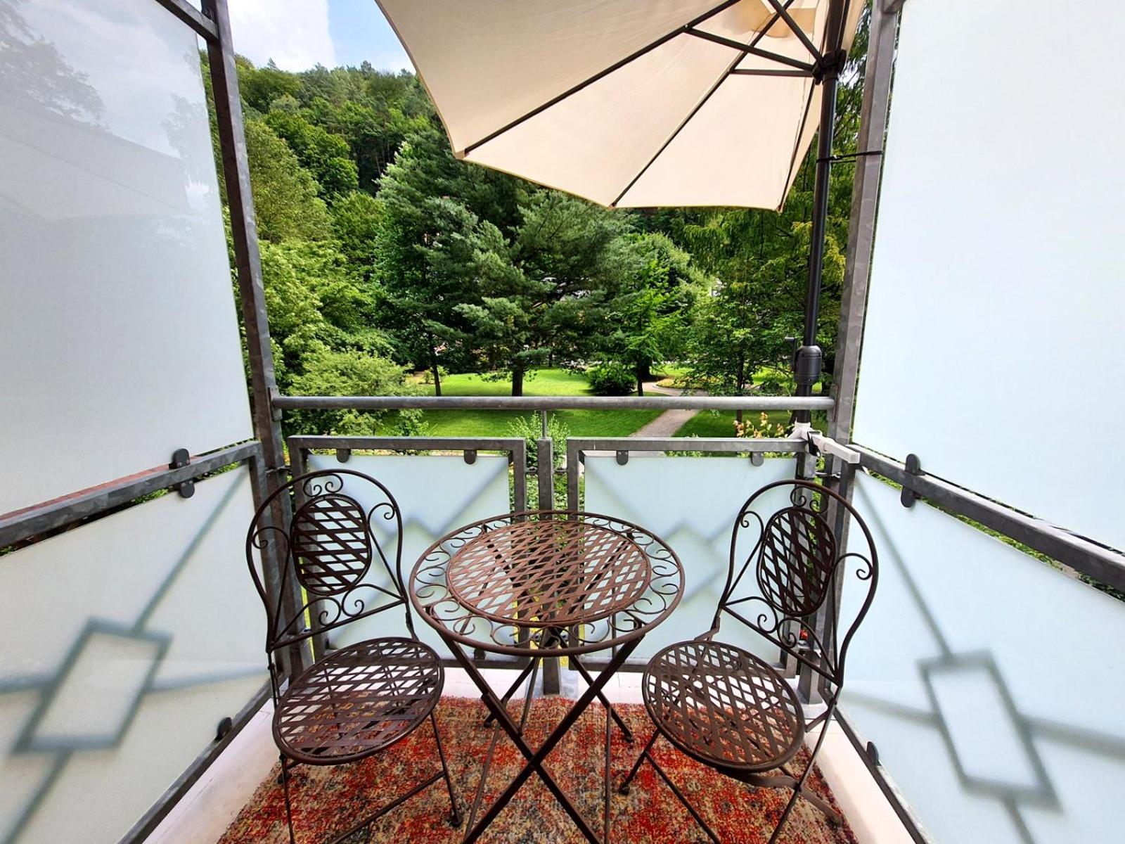 ArtHouse Am Kurpark Bad Schandau