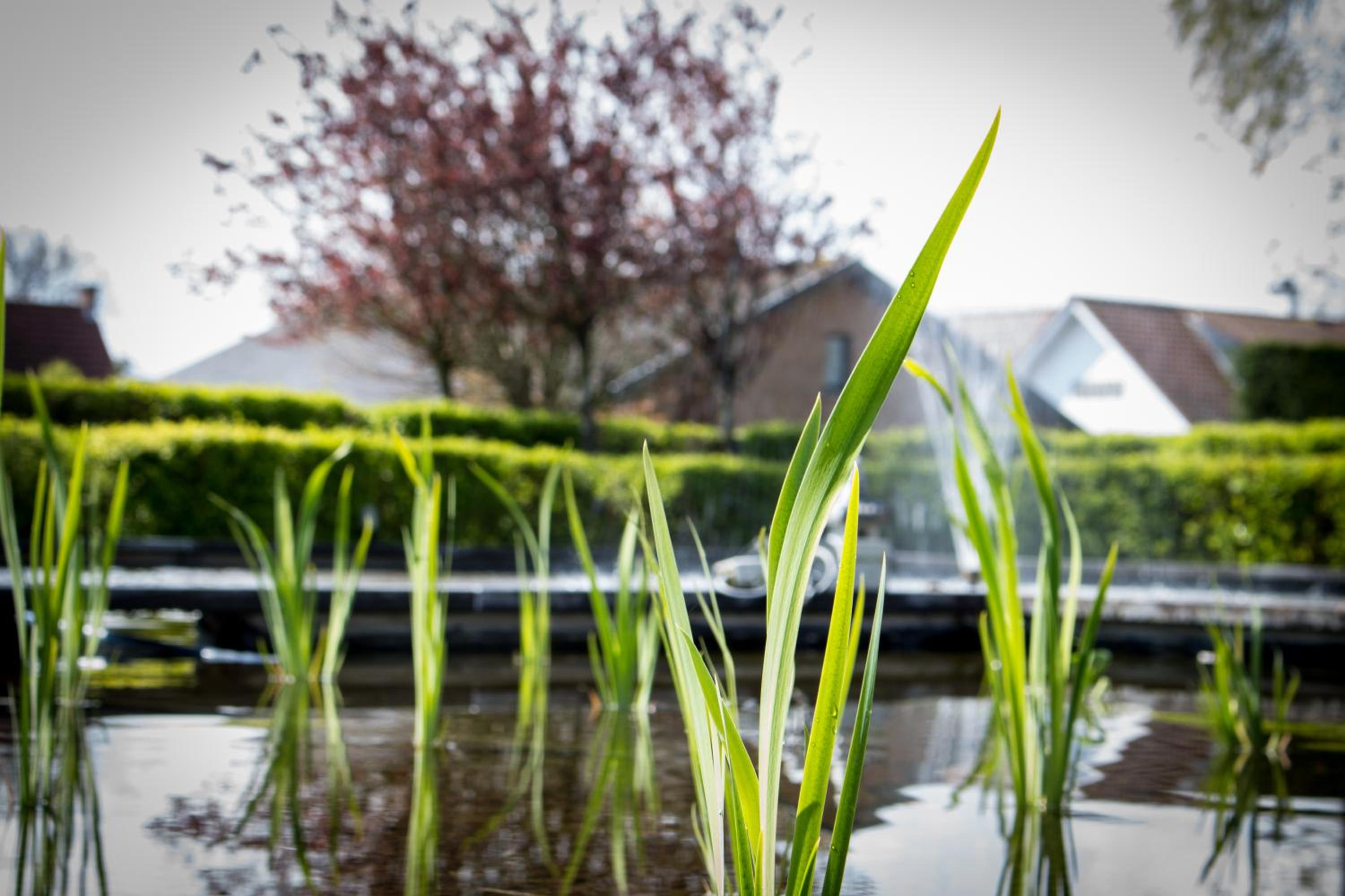 Holiday Suites De Haan