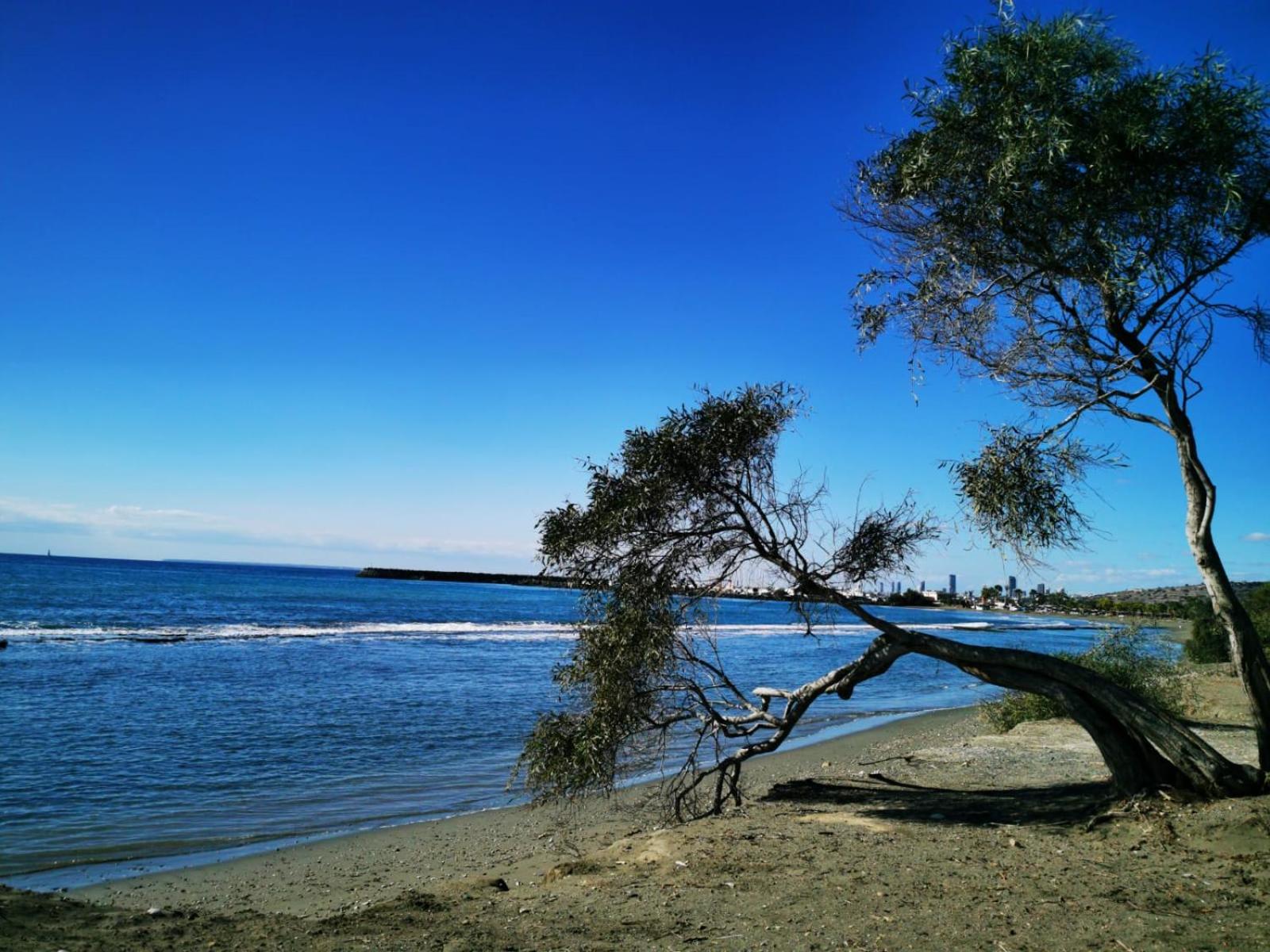 Limassol Star 5