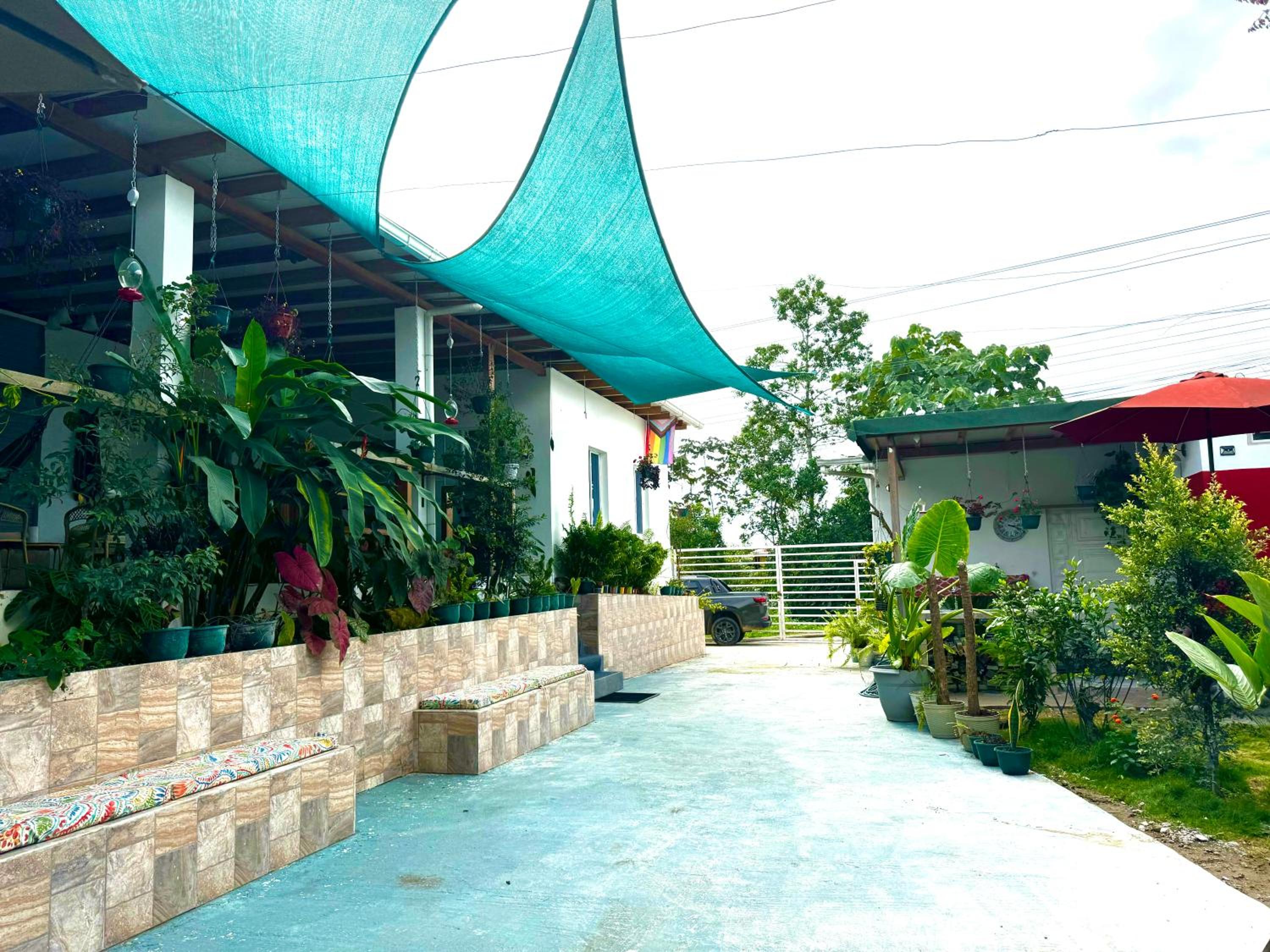 Photo 19
