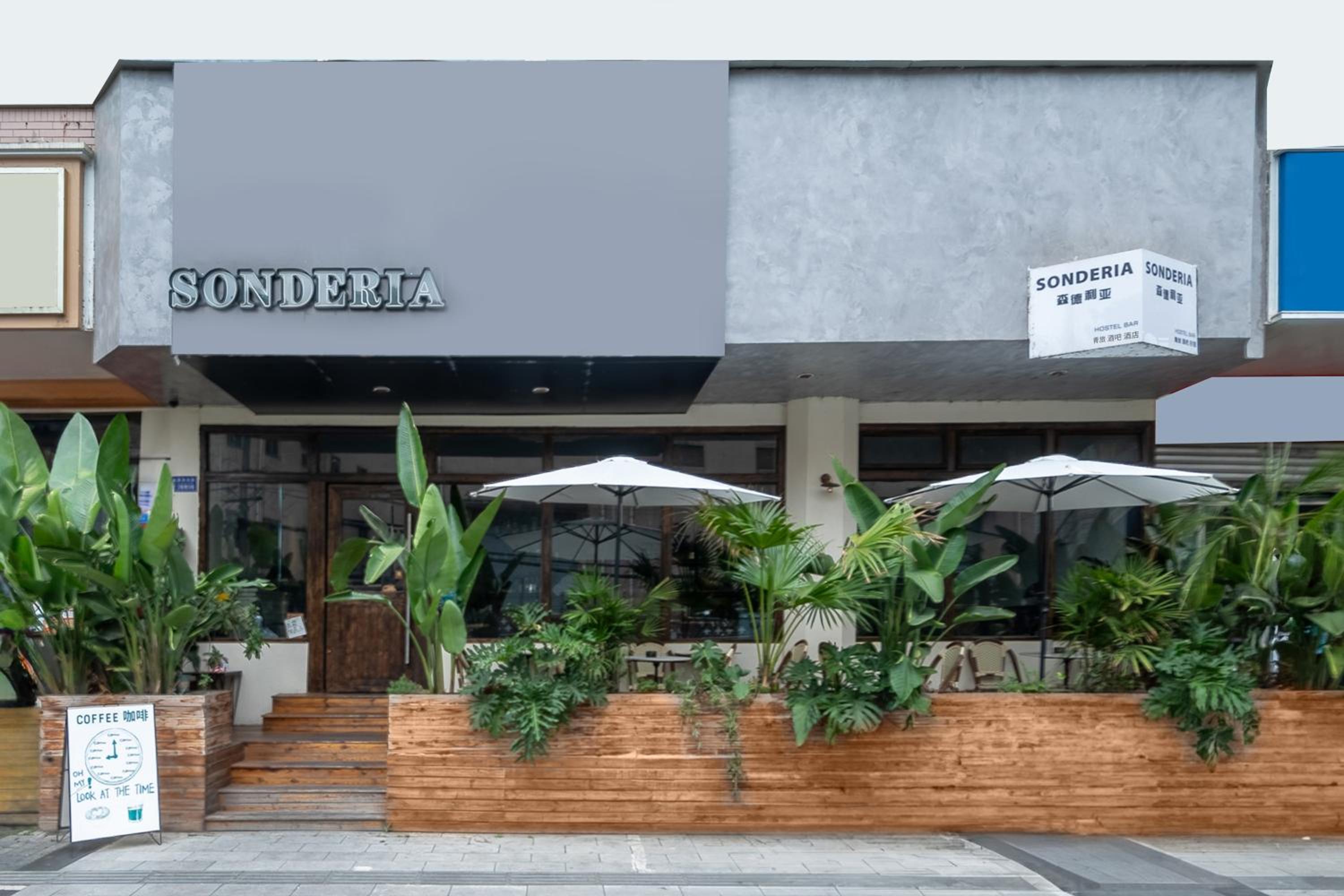 SONDERIA Hostel & Bar - Lazybones