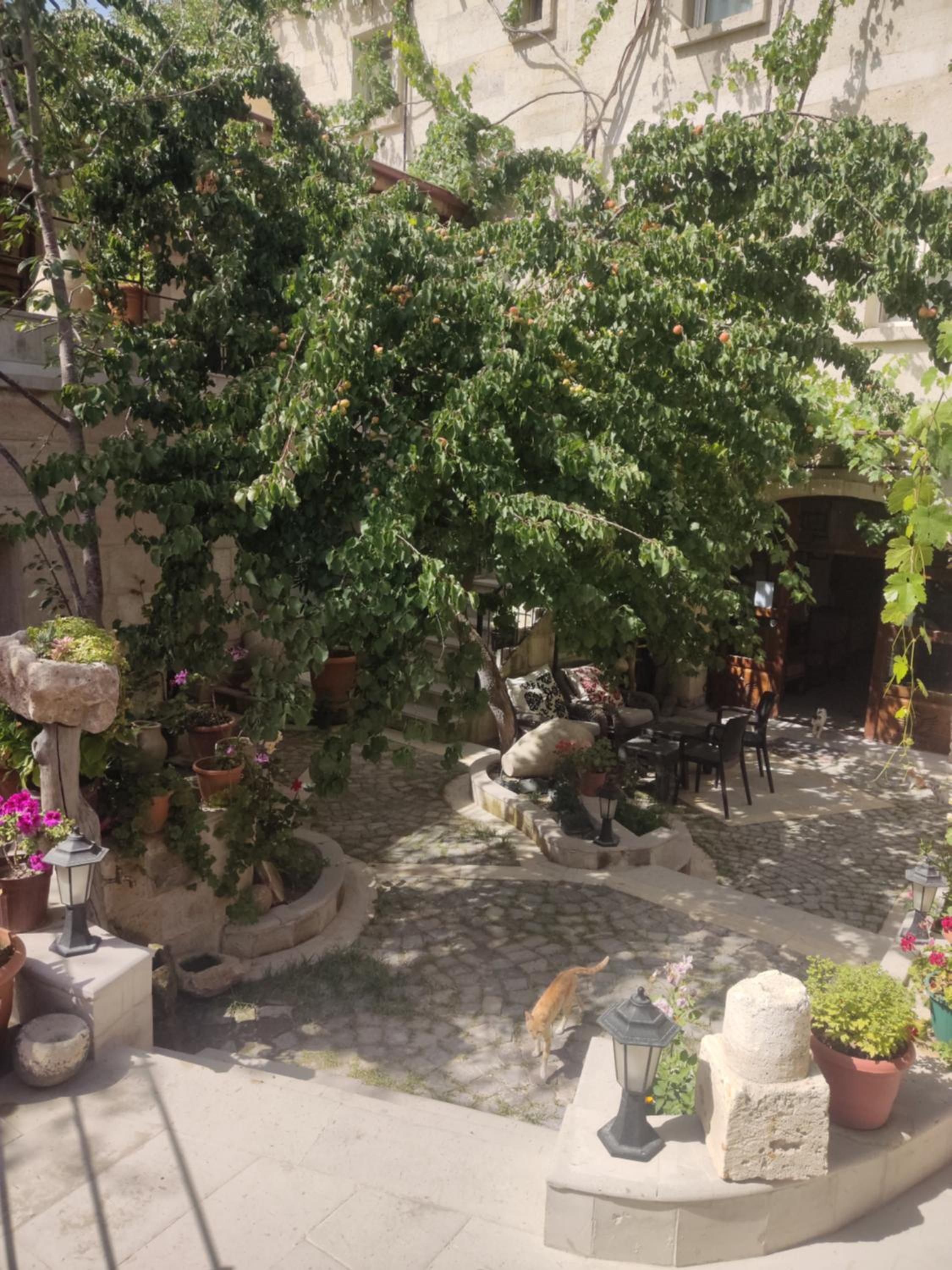 Luwian Stone House - Image 125