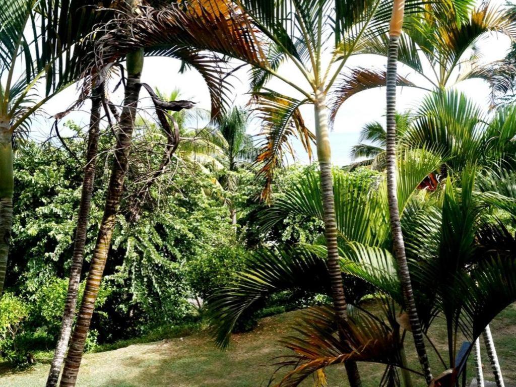 Anchorage Beach Resort - view 10