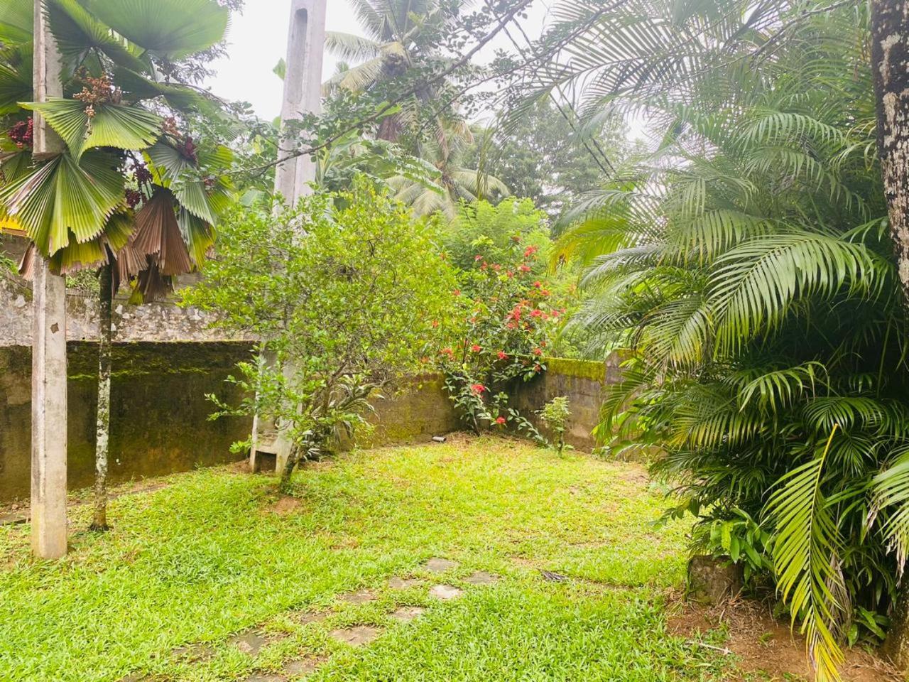 AMBALAMA HOSTEL